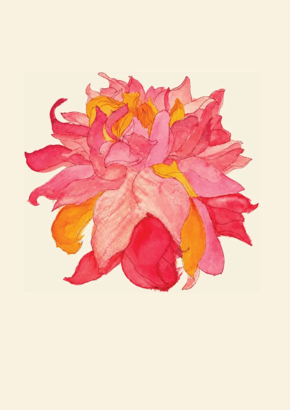 SOLSHINES_FLOWER_CARD_WEB_01_FRONT.jpeg