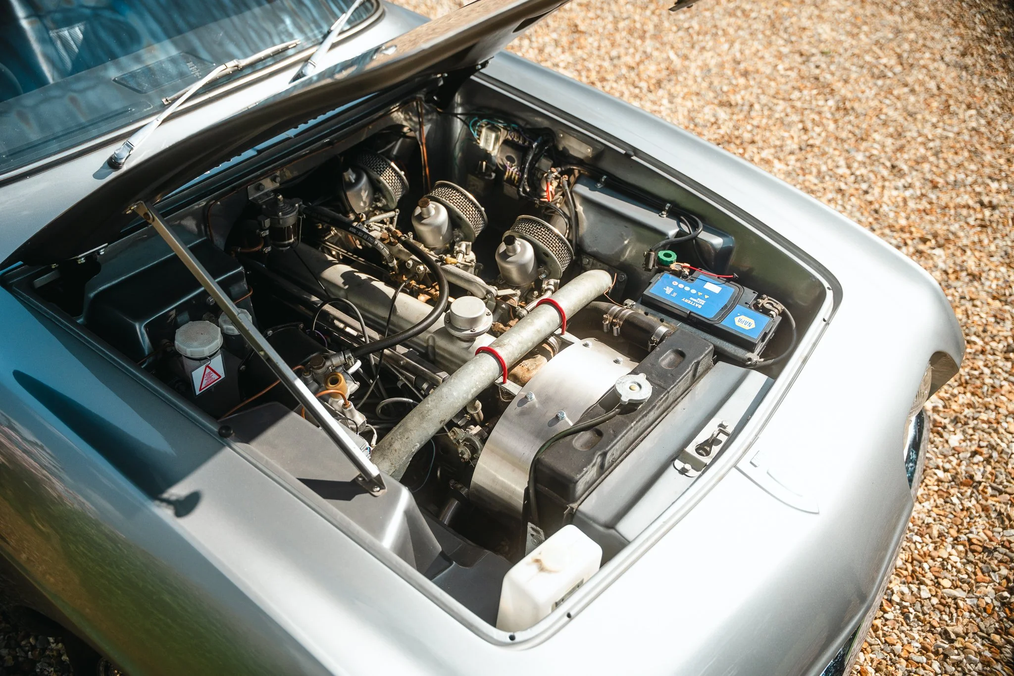 TGC04398.jpg