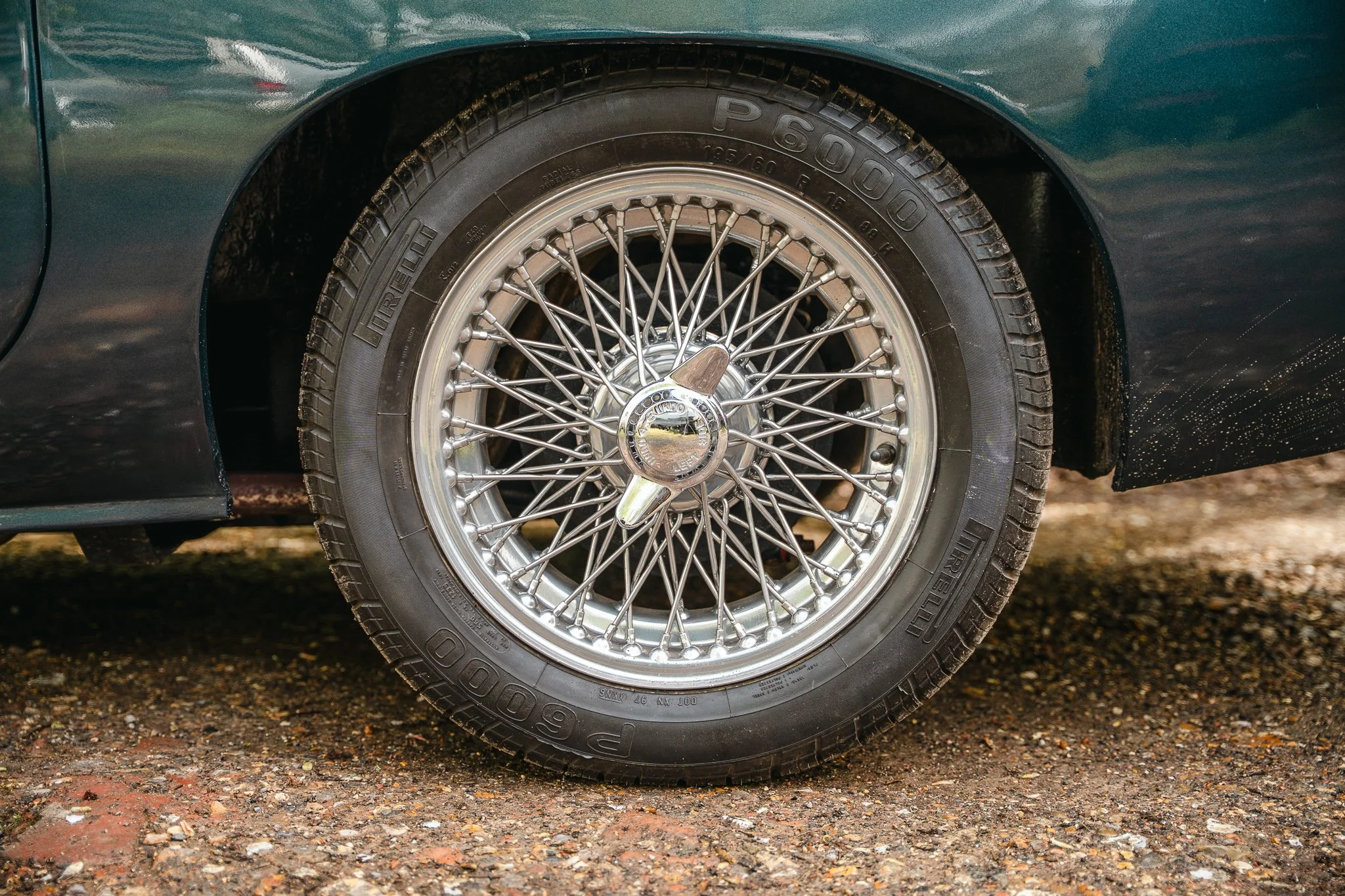 TGC01158.jpg