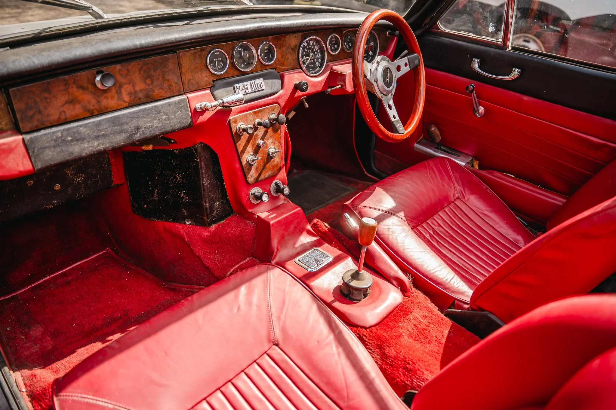 TGC01449.jpg