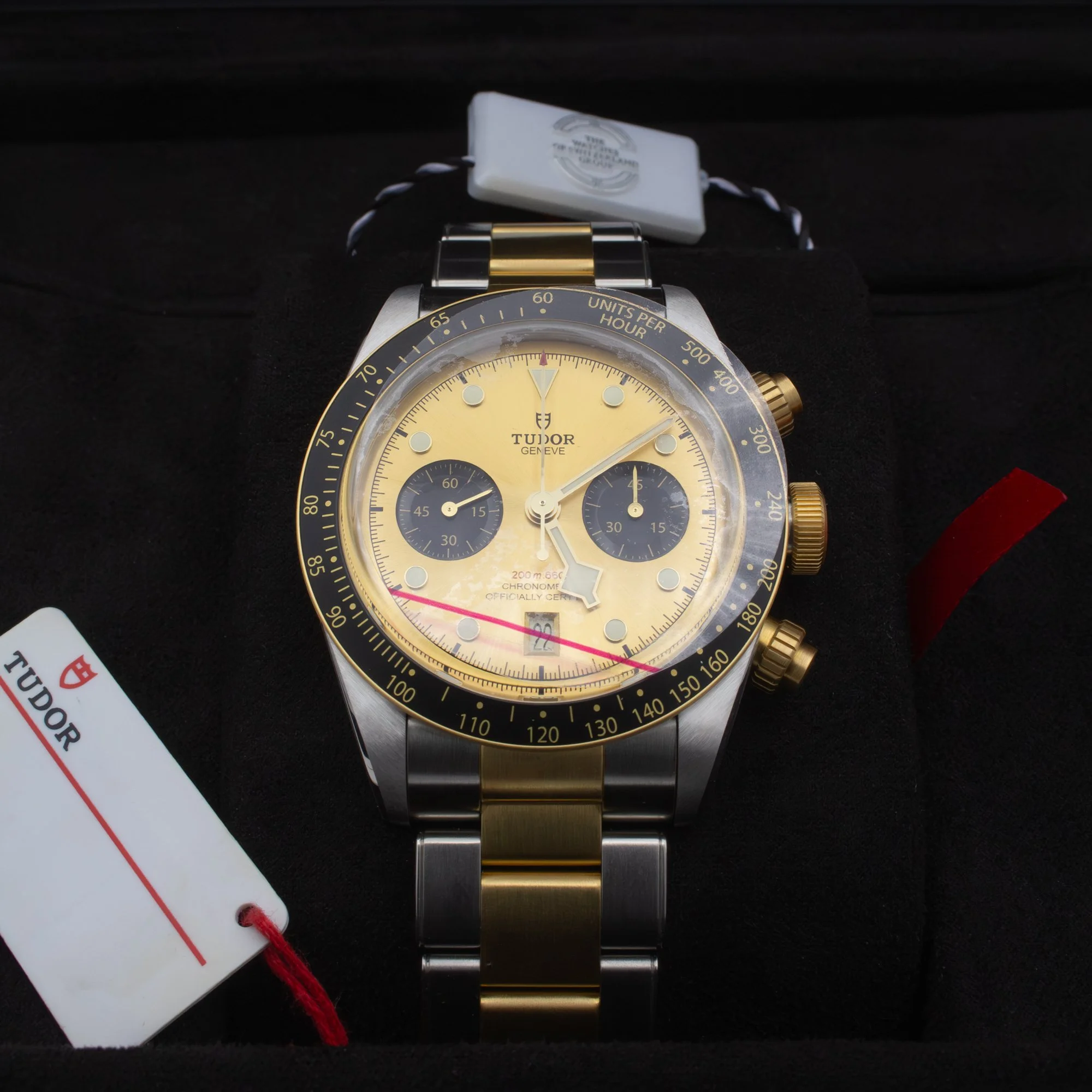 Tudor Black Bay 79363N.jpg