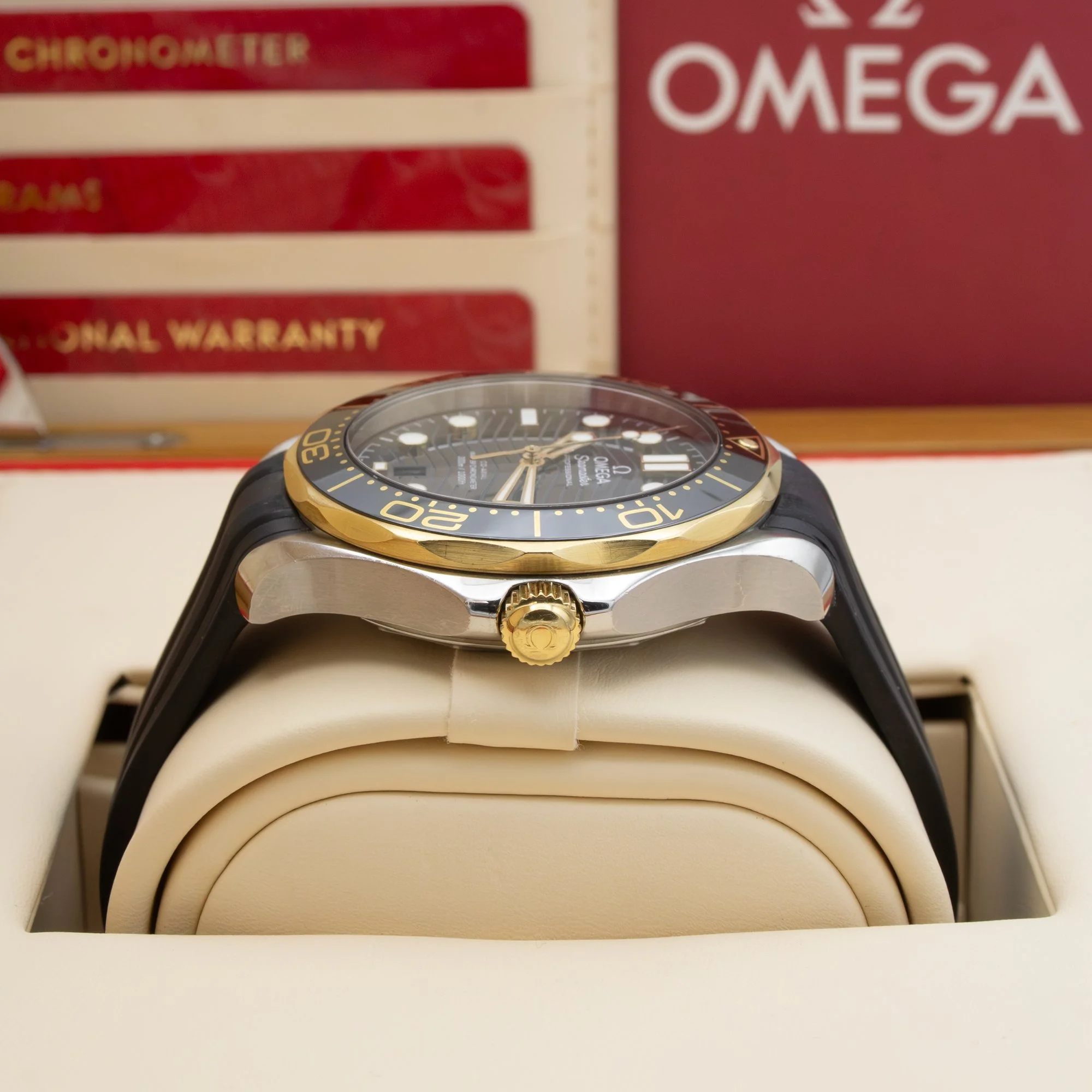 Omega-Seamaster-Diver-21022422001001.jpg