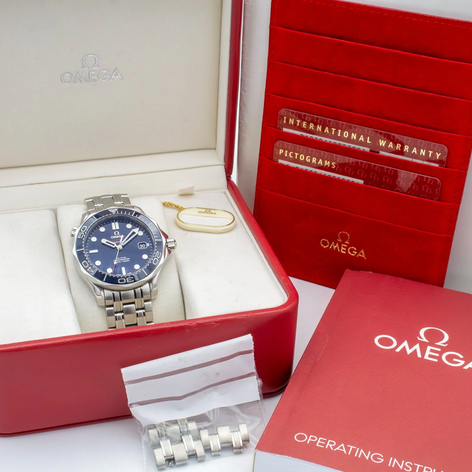 Omega-Seamaster-Professional-21230412003001.jpg