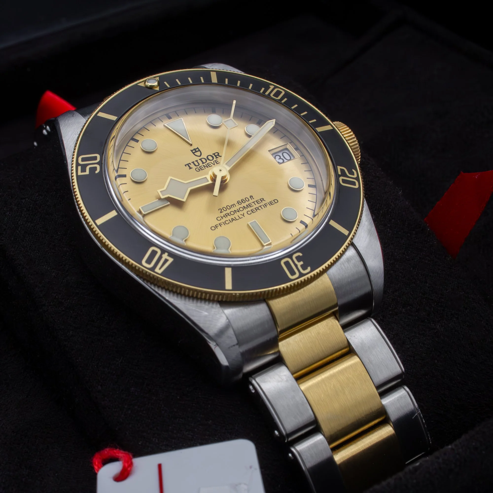 Tudor Black Bay S&G 79733N.jpg
