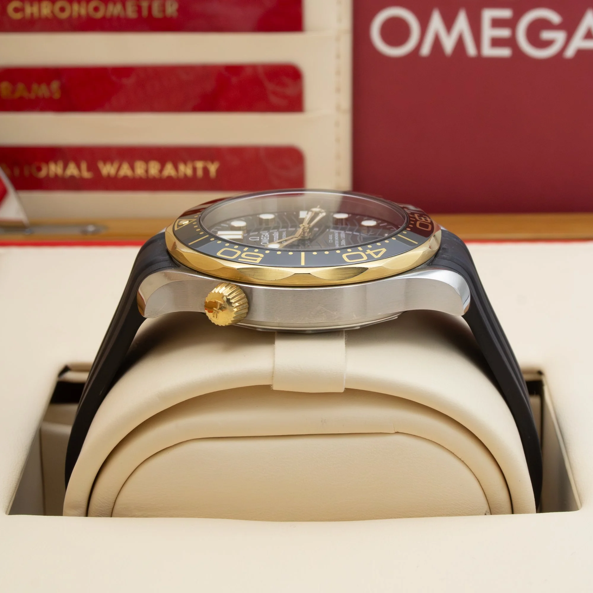 Omega-Seamaster-21022422001001.jpg