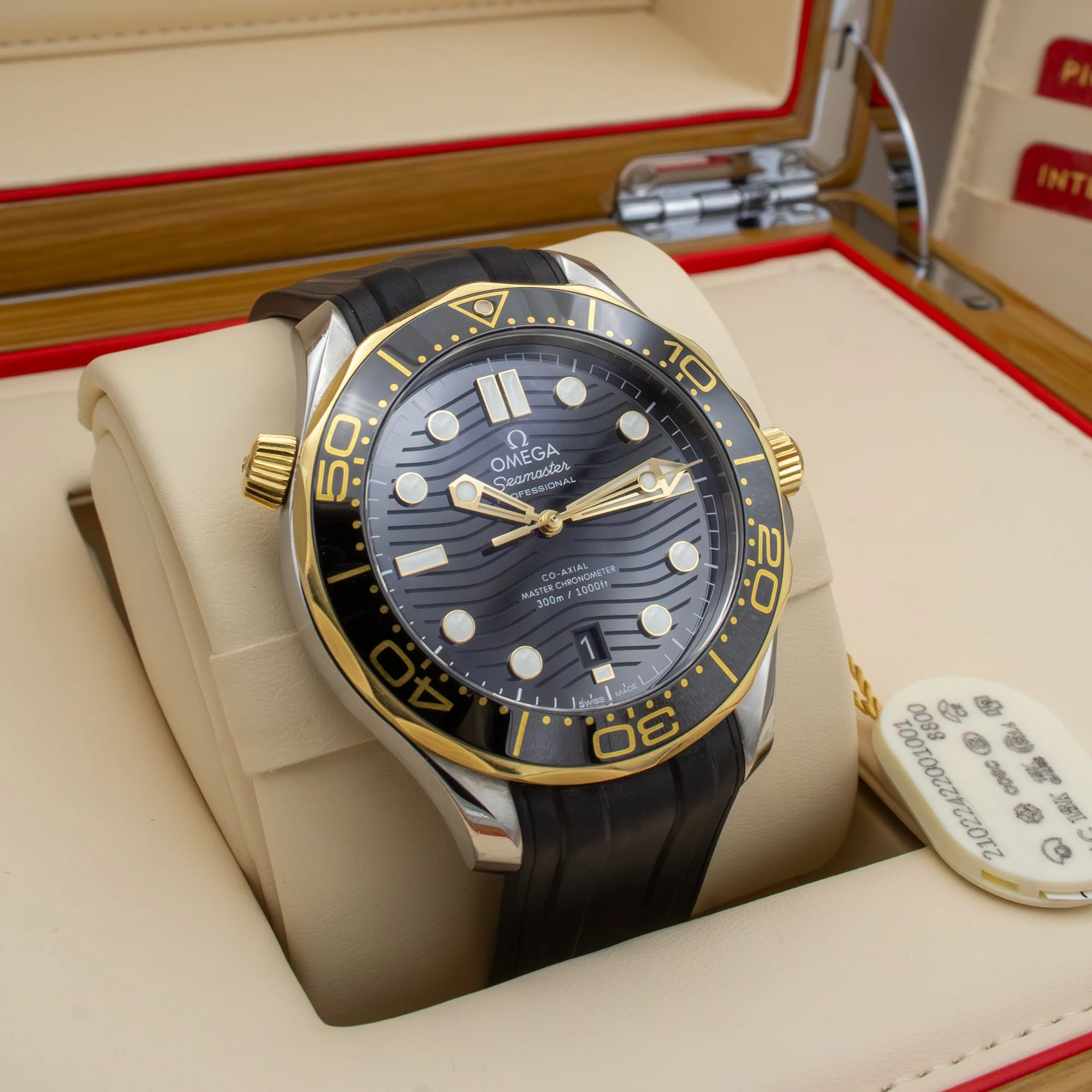Omega-Seamaster-Diver-300M-21022422001001.jpg