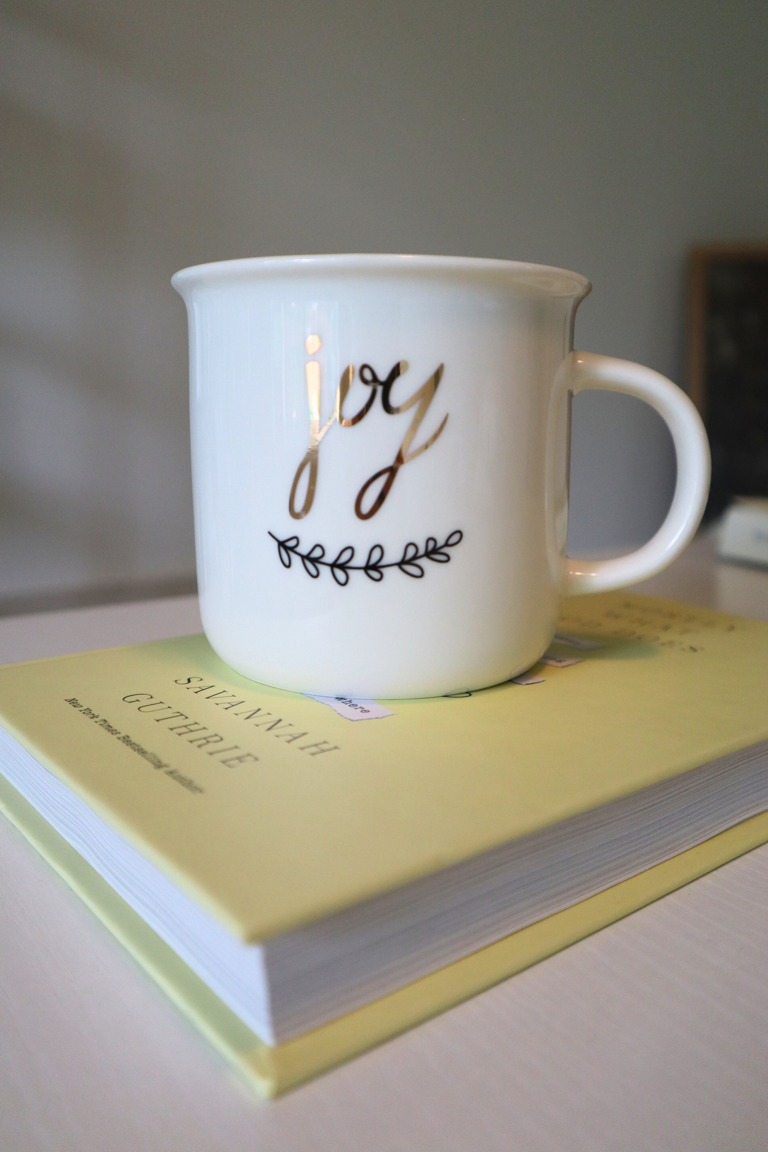 Jessi Boike Joy and Business Intuition Marketing & Strategy.jpg