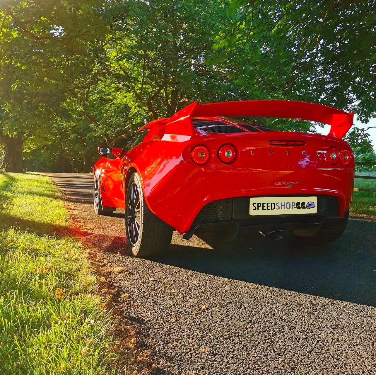 Lotus Elise / Exige ECU aftermarket upgrade to ECU Master