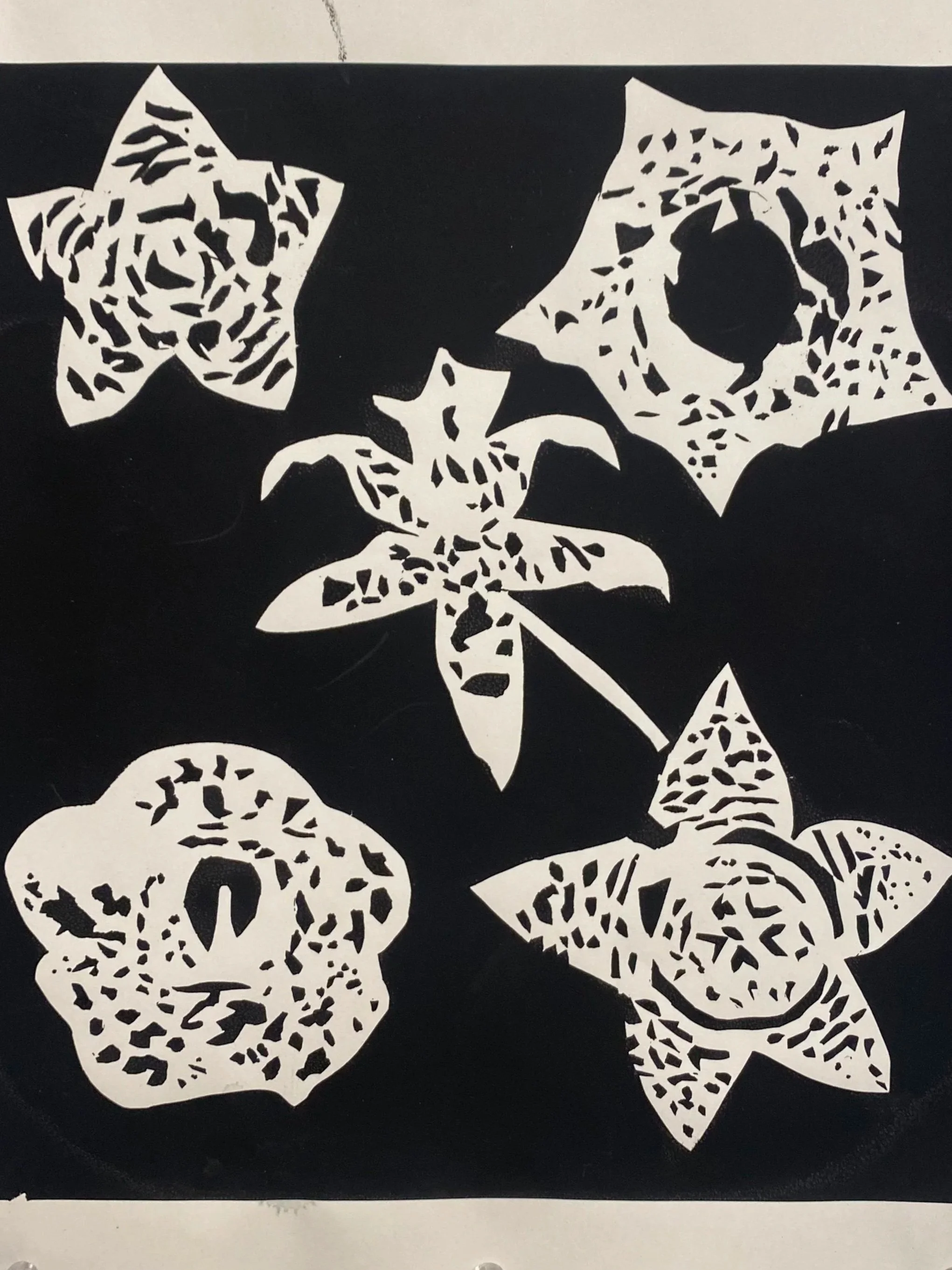 Screen print on paper. 30 x 22 cm. 