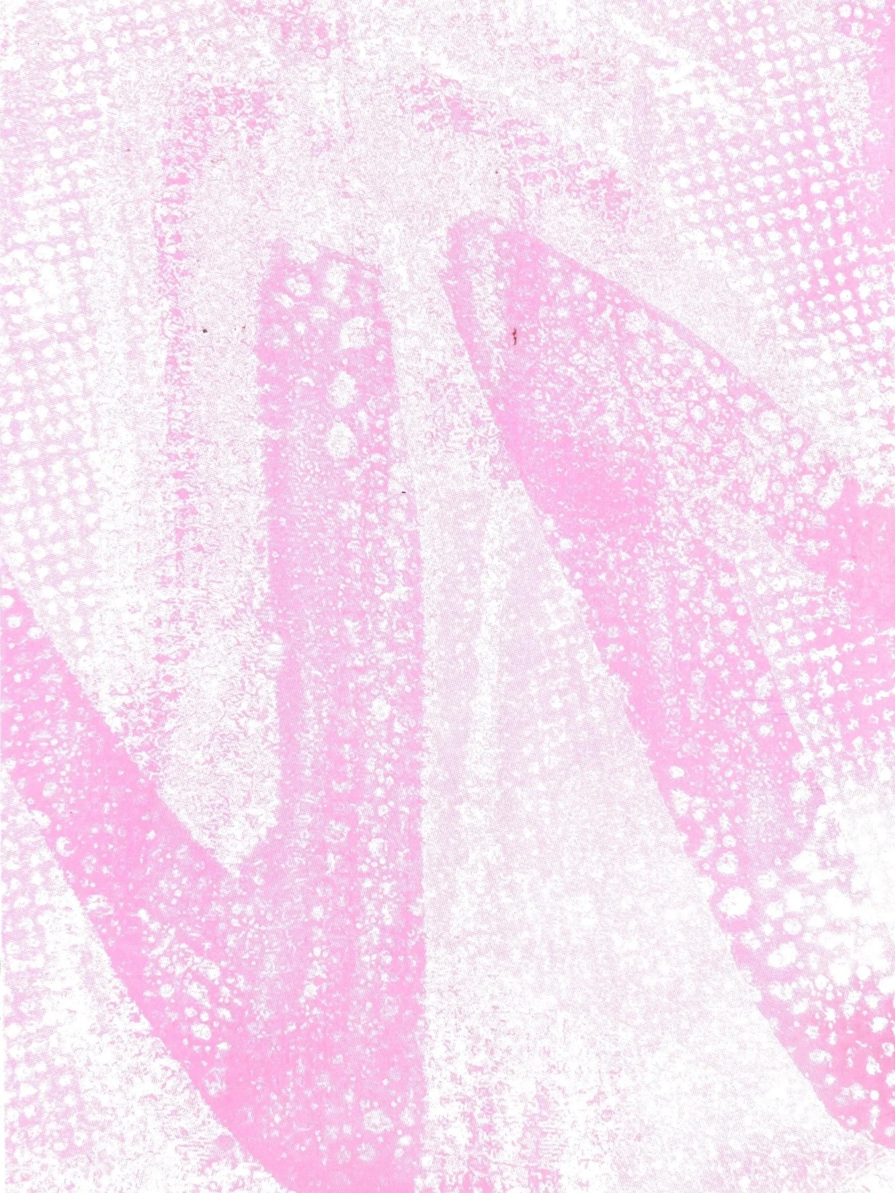 scan_e.green1_2024-01-23-16-01-14.jpg