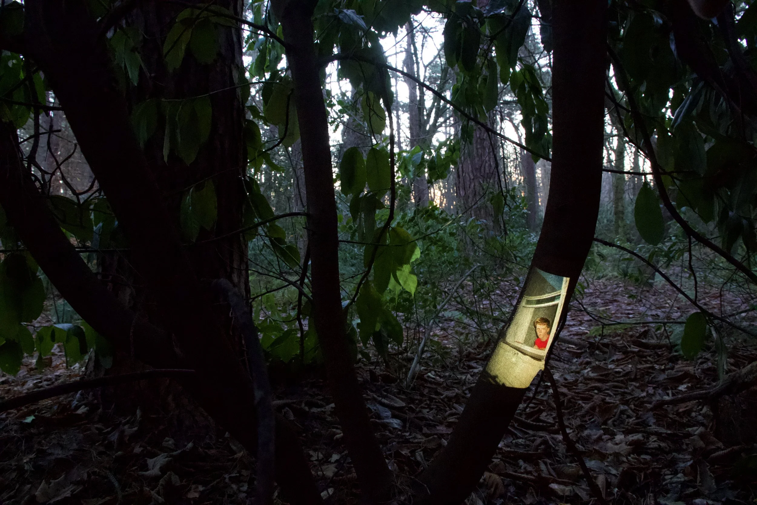 asheredbranch.jpeg