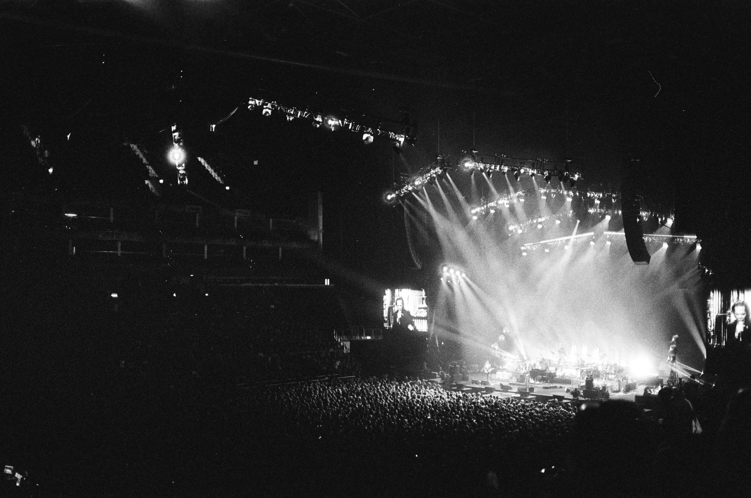 David Dean Photo - Analogue Band13.jpg