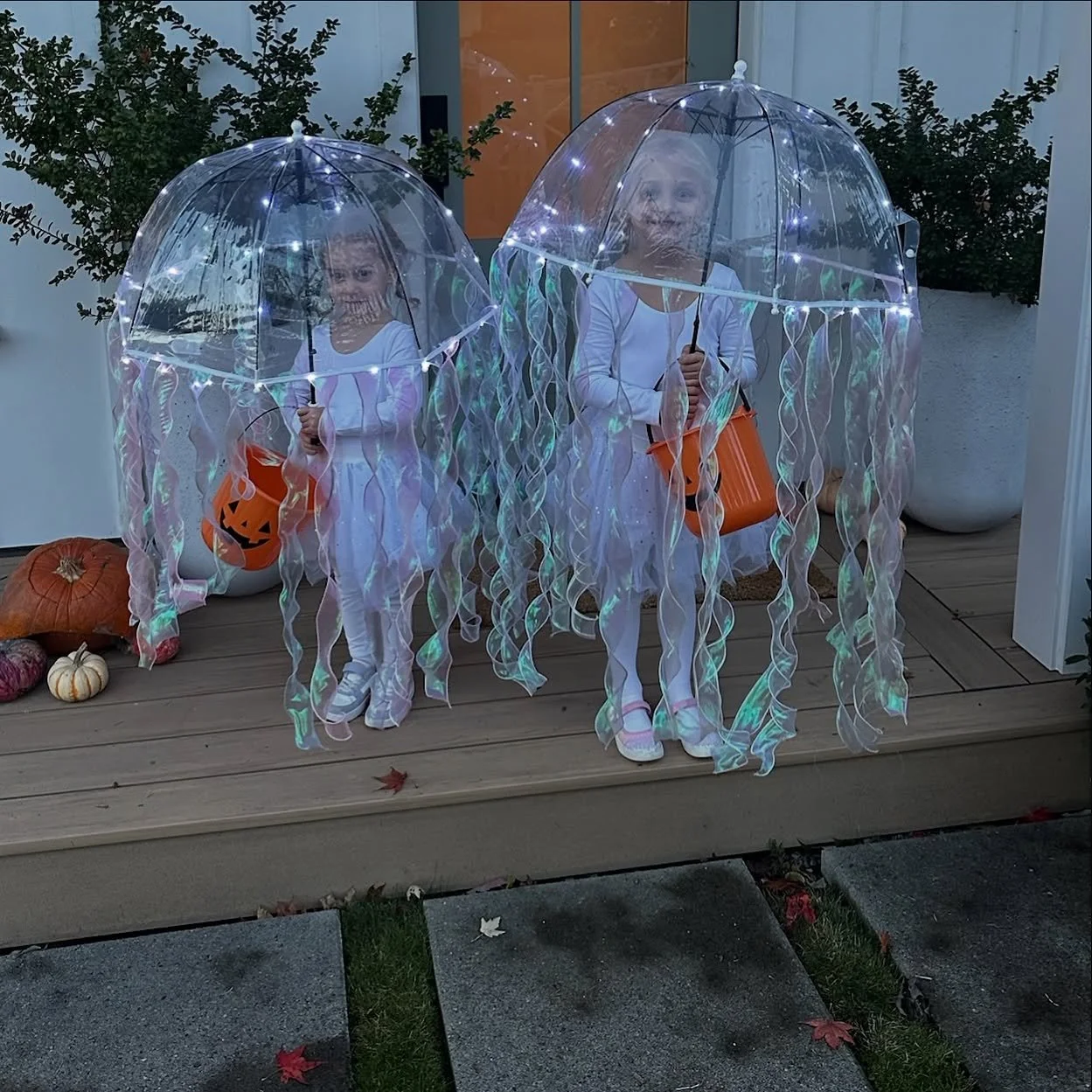 When your aunt is an oyster farmer&hellip; you don&rsquo;t dress as princesses, you dress as jellyfish with a little extra sparkle! 🪼💖 👸🦪