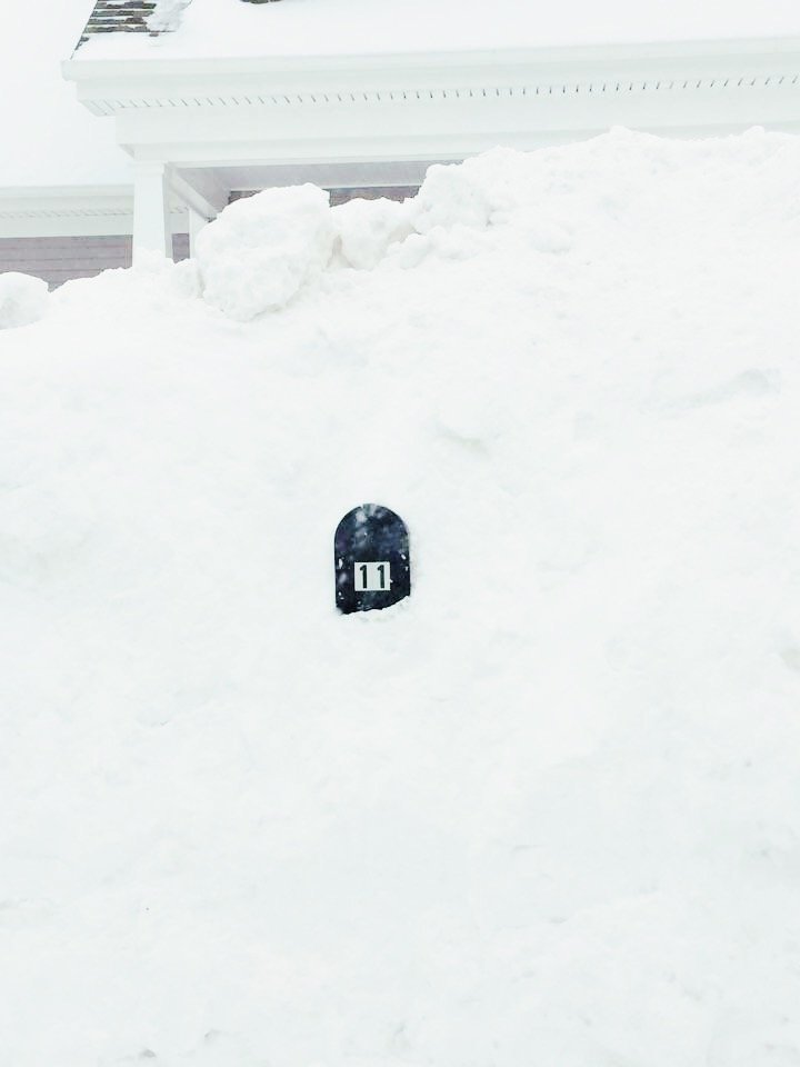 What January Snowstorms Mean for Sellers