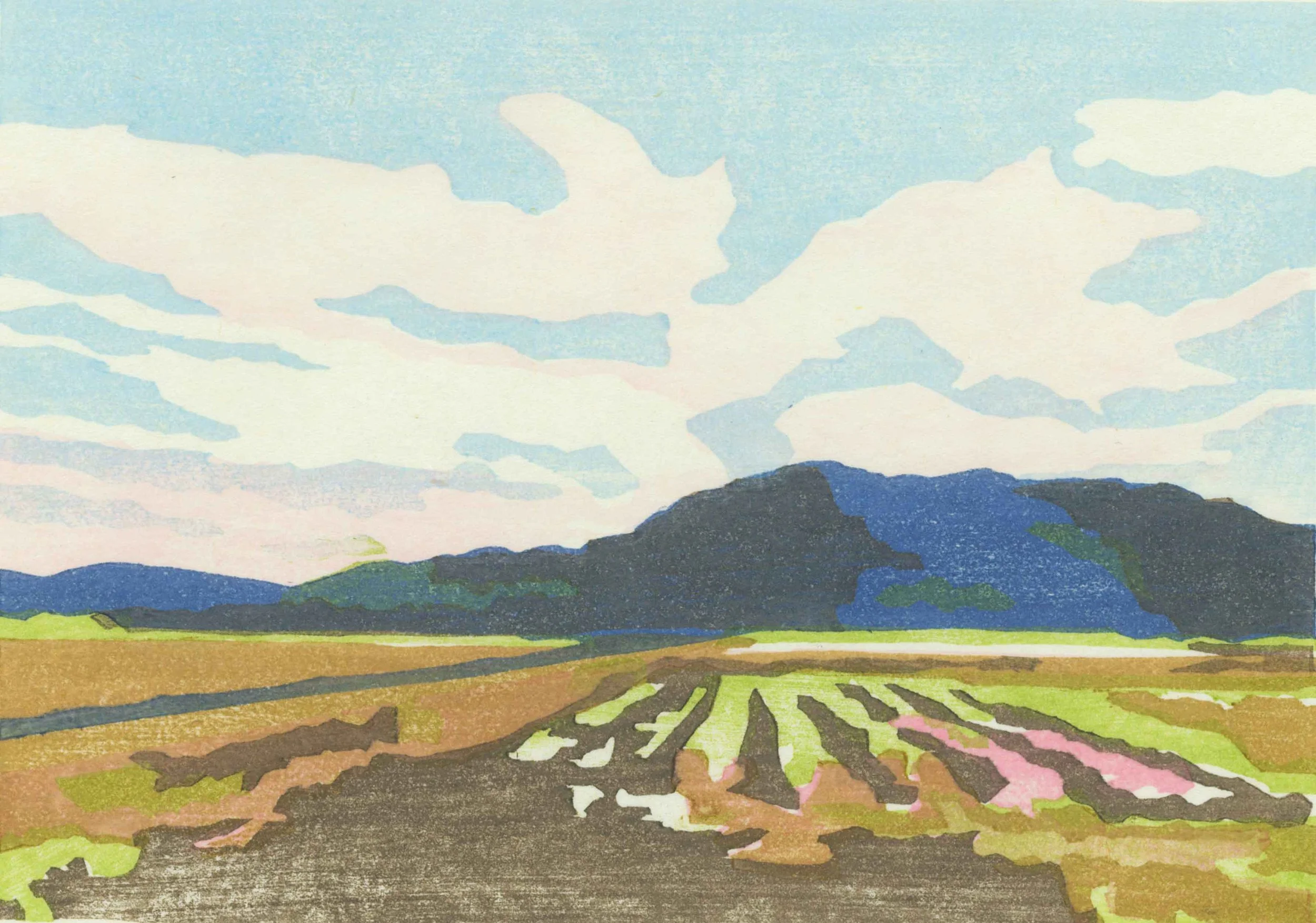 Fields Below
