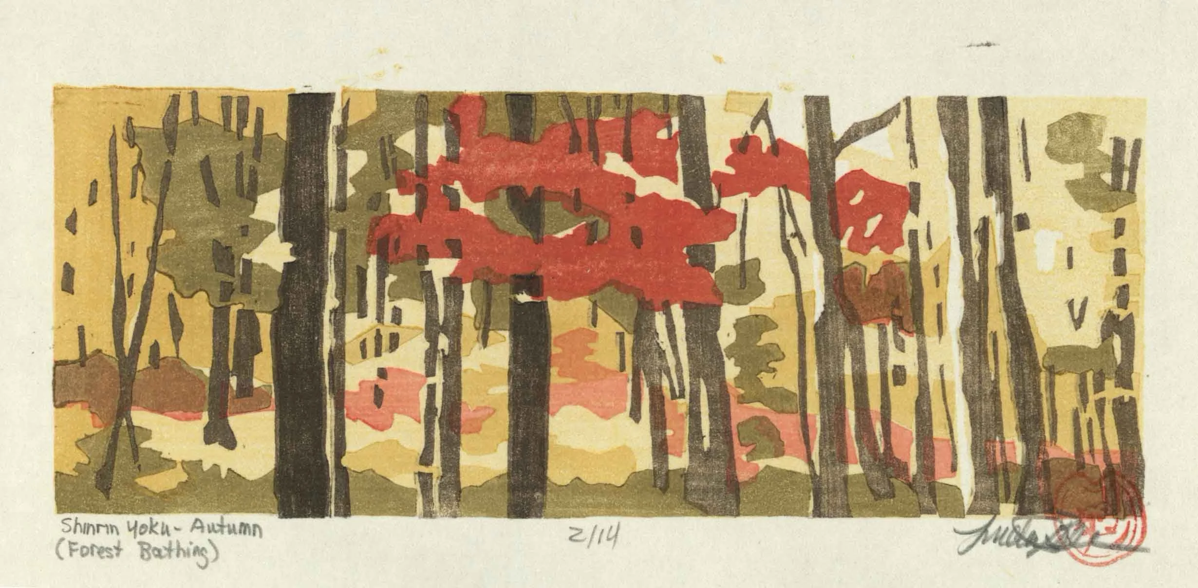 Forest Bathing Autumn