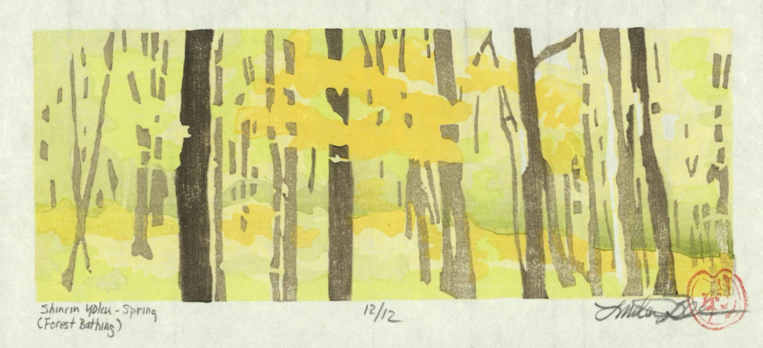 Forest Bathing Spring