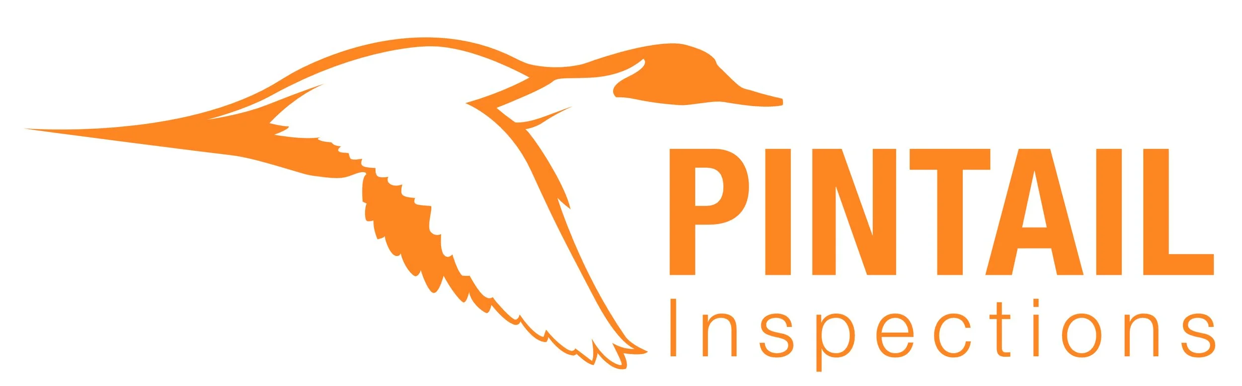 Pintail Inspections