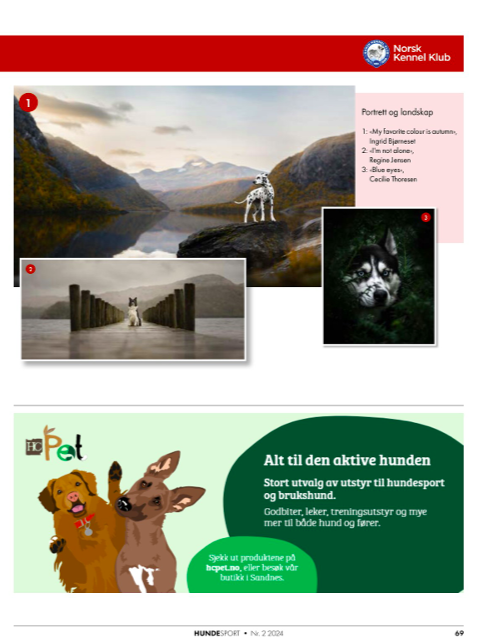 Hundesport side2(2).png