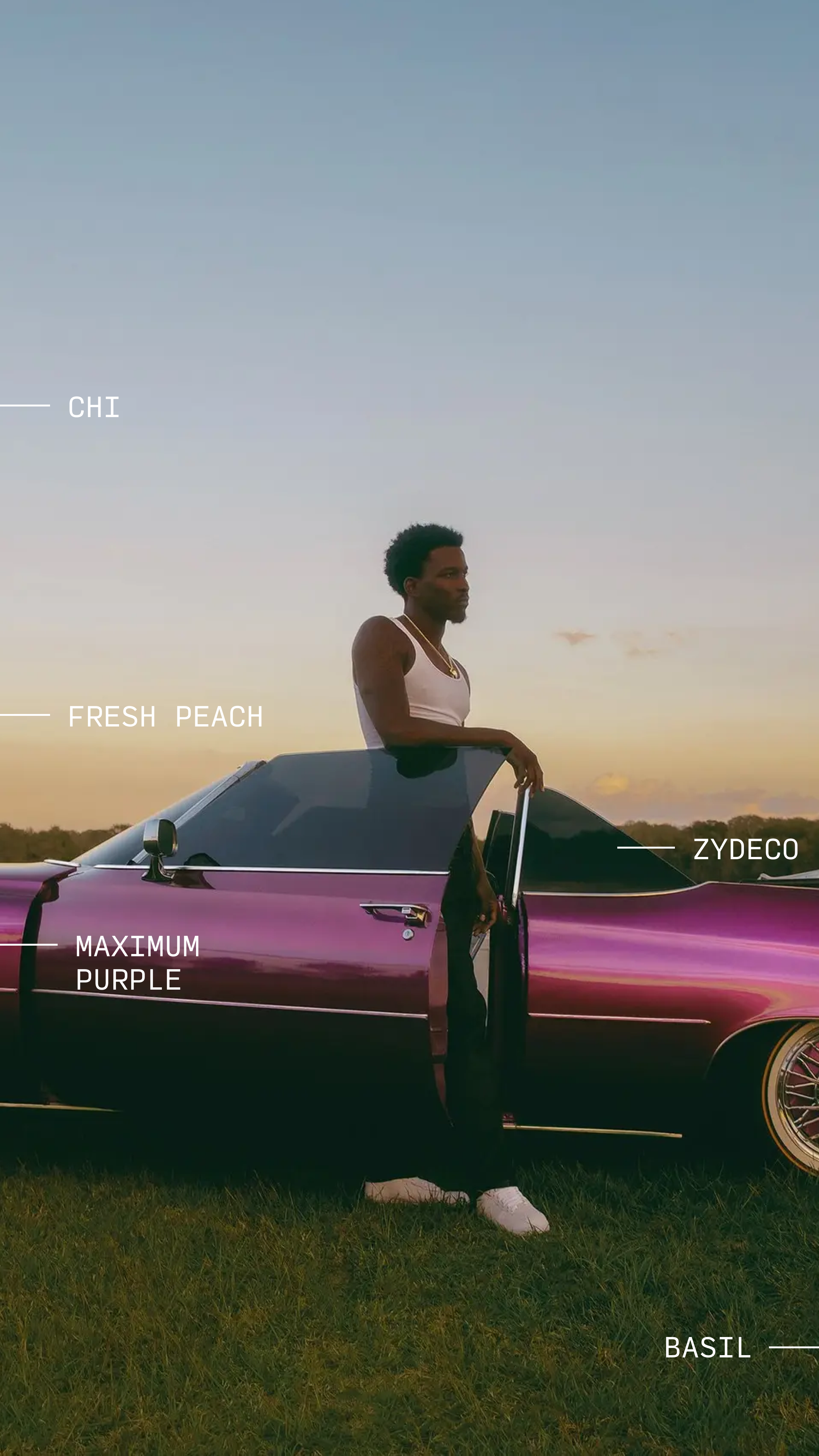 Instagram story - 7.png