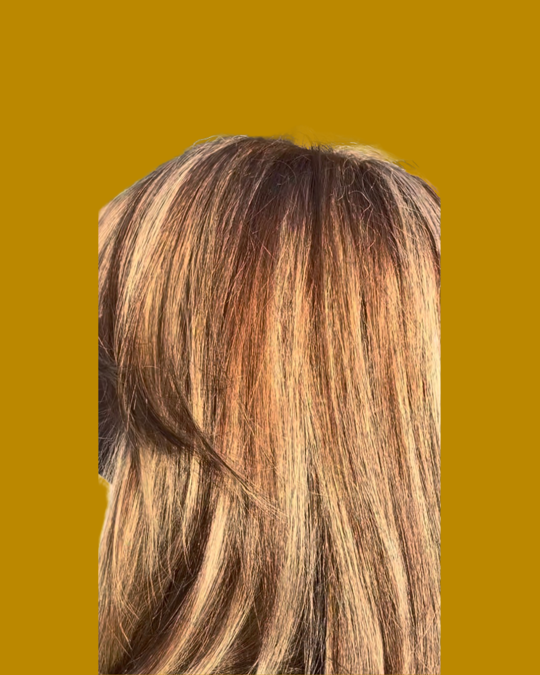 closeup of blonde highlighted hair