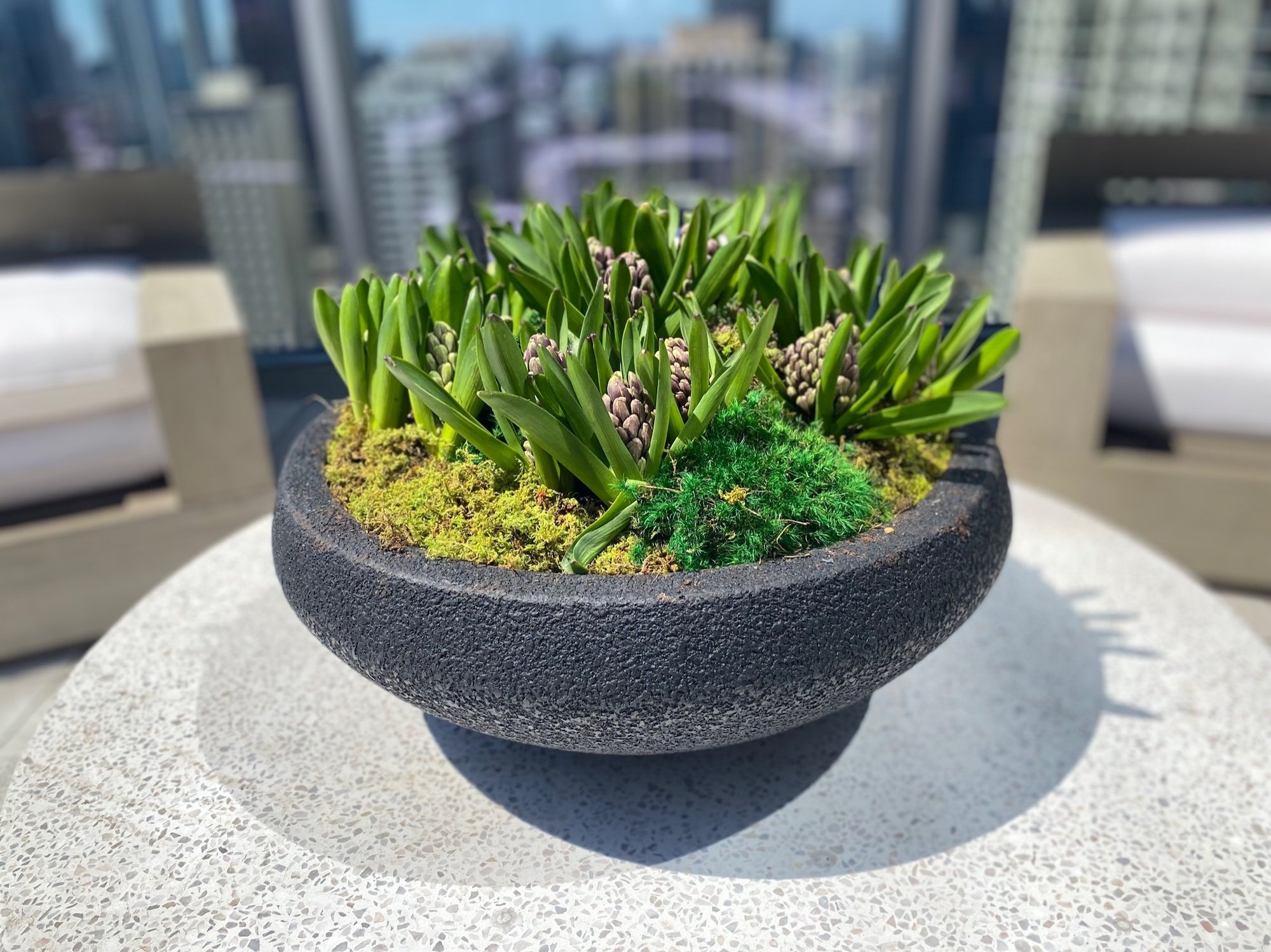 Spring (Seasonal)