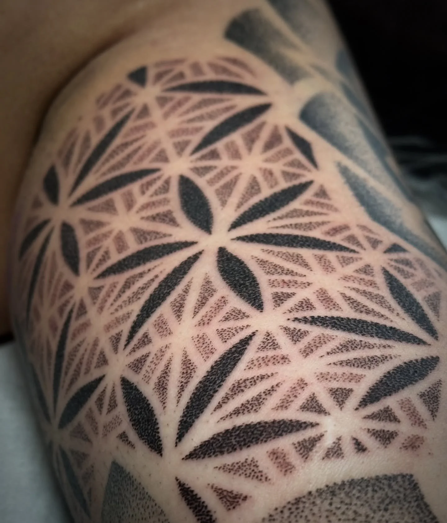 This was a fun pattern to do! I love the process and results of dotwork✨

Would love to do more geometric work! 

Taking bookings for December 🎄
Book in via my website 🙏🏼 

#dotworktattoodesign #dotworktattoos #geometrictattoos #geometricpatterns 