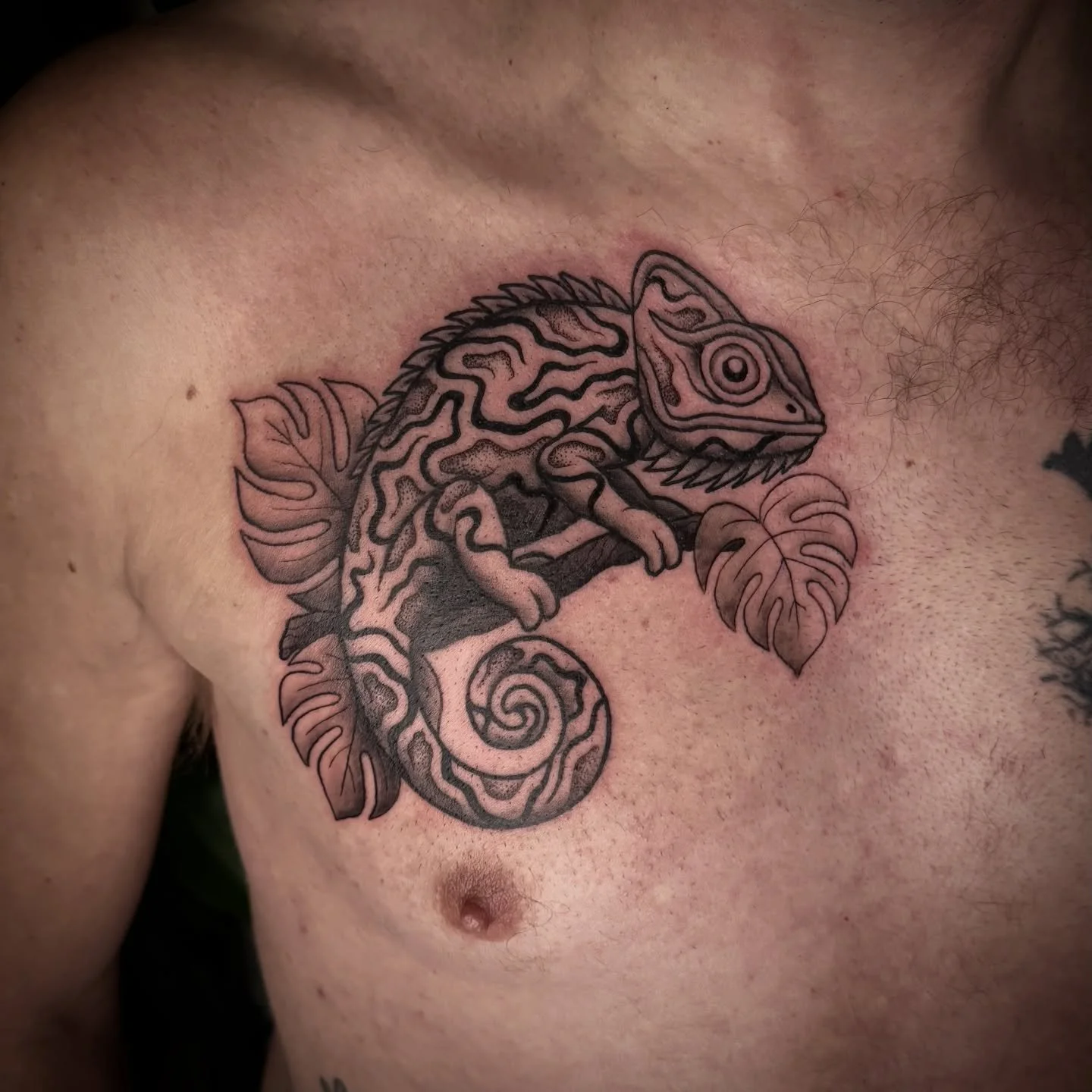 A cool Chameleon to pair with the frog on Gregg&rsquo;s stomach! Thanks again Gregg! The pattern on these are so fun to do 😄 

#chameleontattoo #suminagashitattoo #reptiletattoo #colchestertattooist