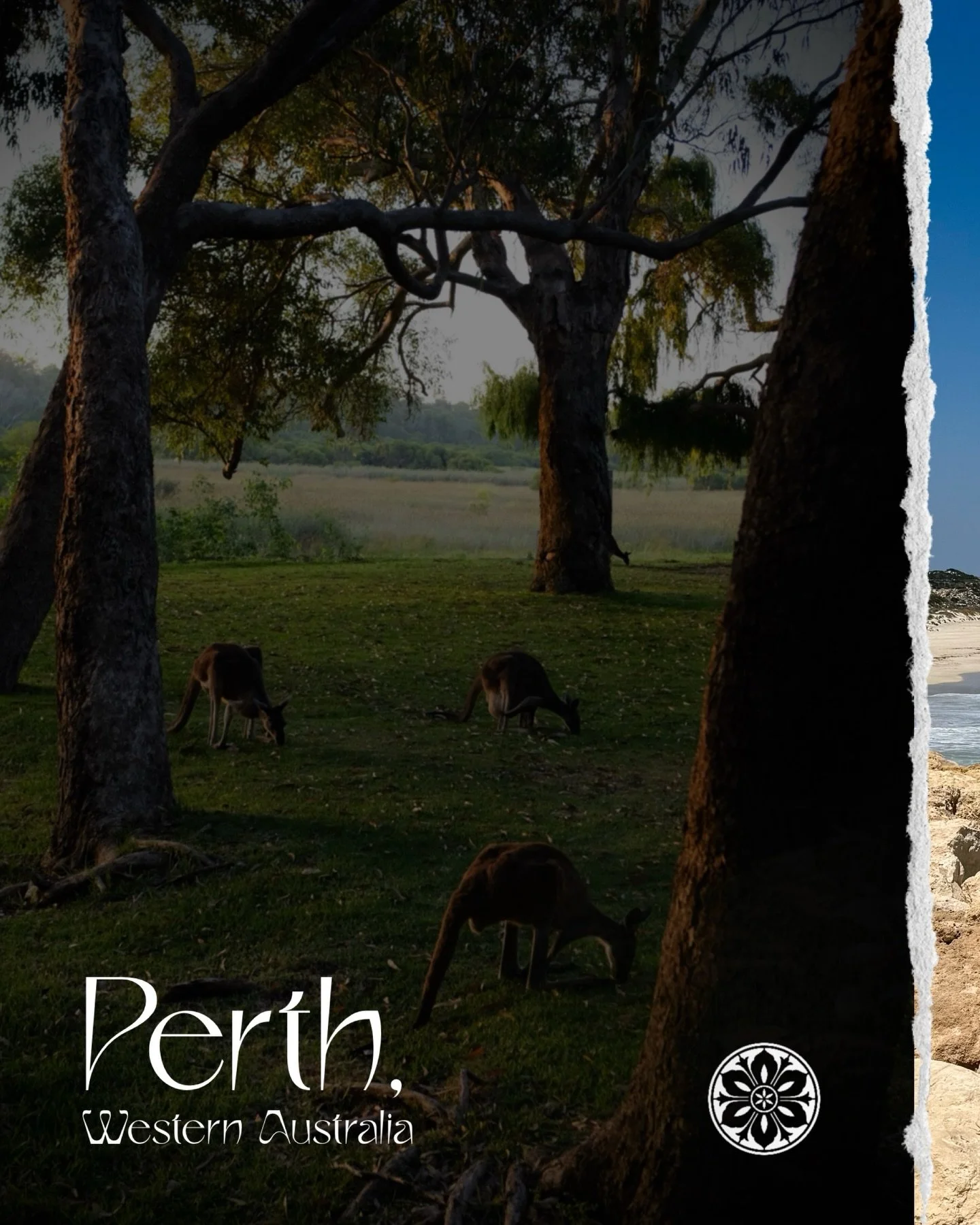 Perth, Western Australia. 🇦🇺 🦘
A place of big open landscapes, hot weather, yummy food, beautiful plants, animals, kind people, and a very relaxed way of life. From beaches and national parks to time spent in the city, it&rsquo;s been an easy plac