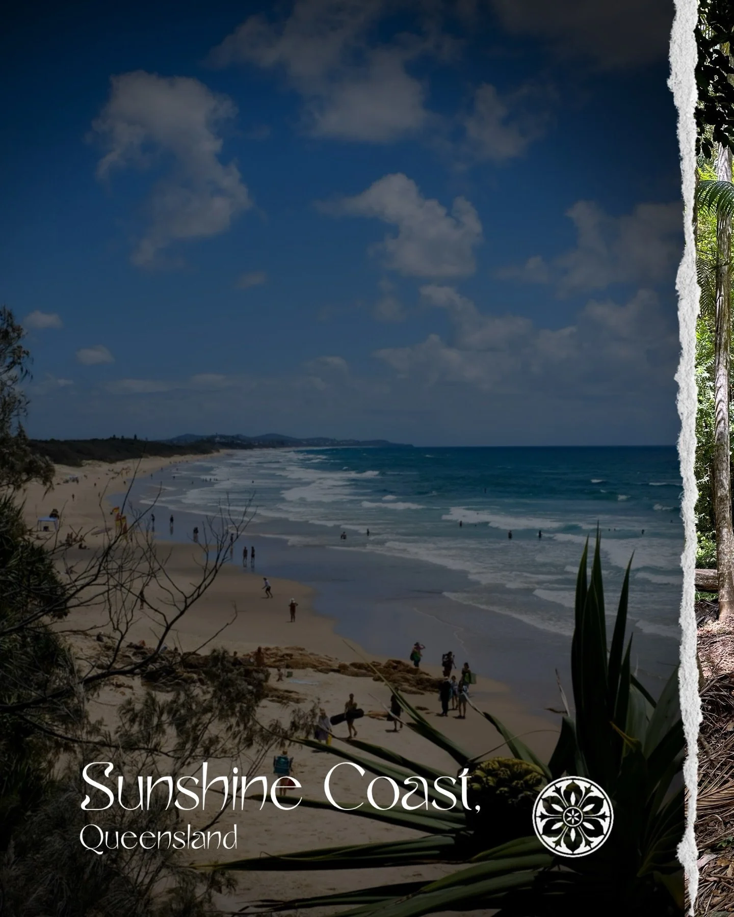 Queensland has felt a lot different to Perth. Loads of mountains, so much greenery and so much life. The subtropical climate brings sticky humidity, sunshine for most of the year and when it rains it pours. The forests feel ancient, the coastline is 