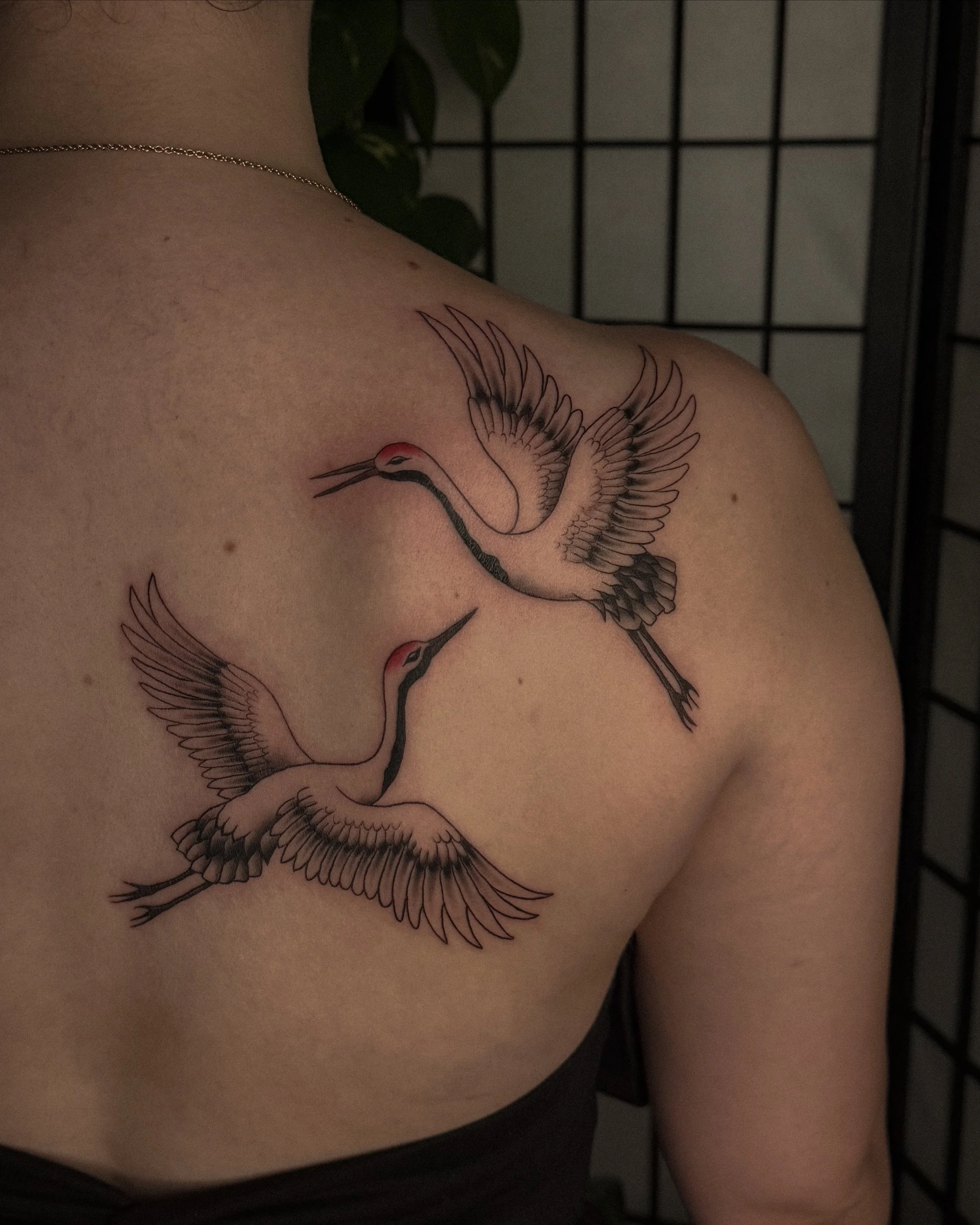 Tattoo of a crane on person's shoulder and upper arm, with a background that appears to be a darkened room with a grid-like structure and a plant.
