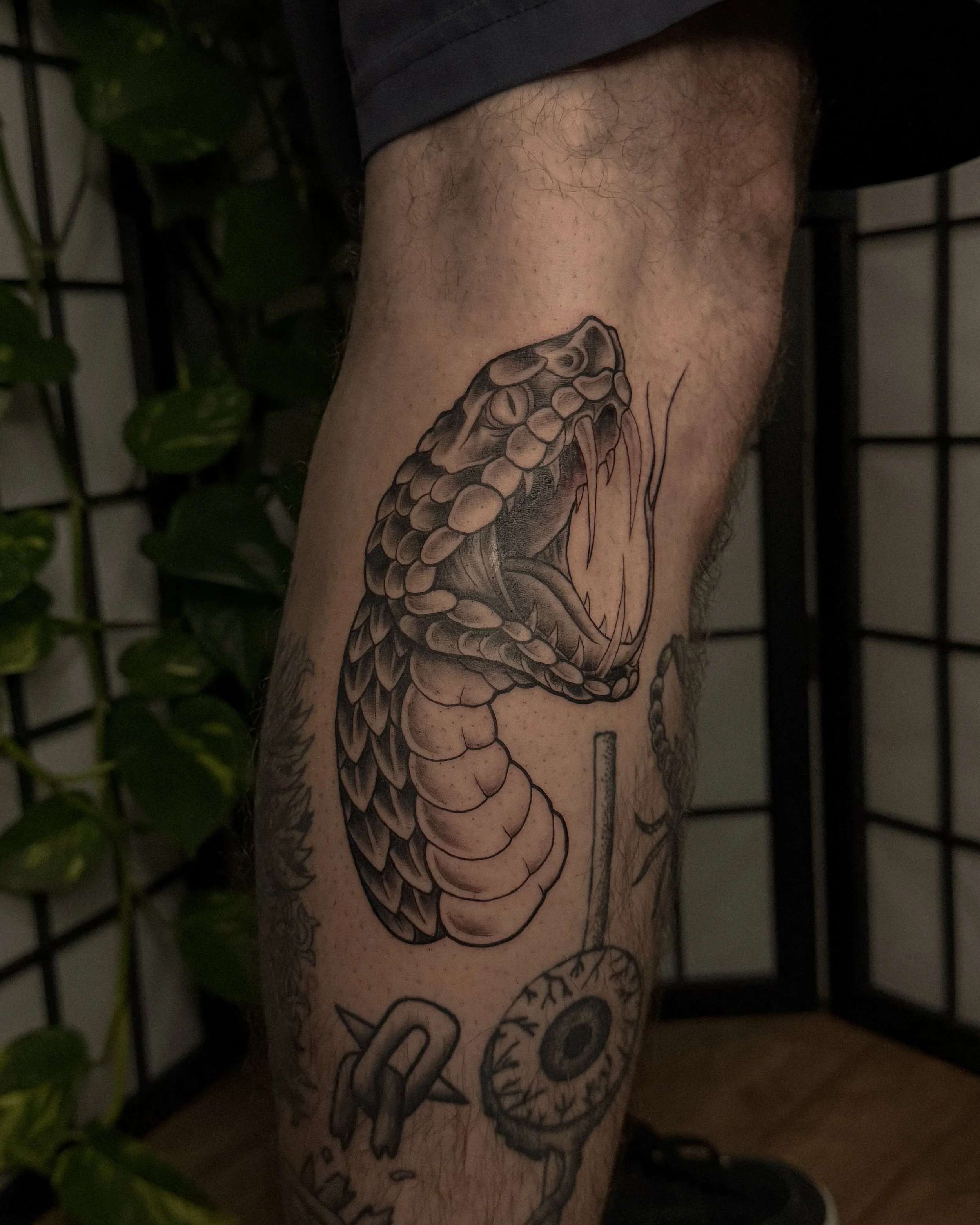 Close-up of a person's leg with tattoos, including a snake design and some script, with a background of green leaves and a black metal fence.
