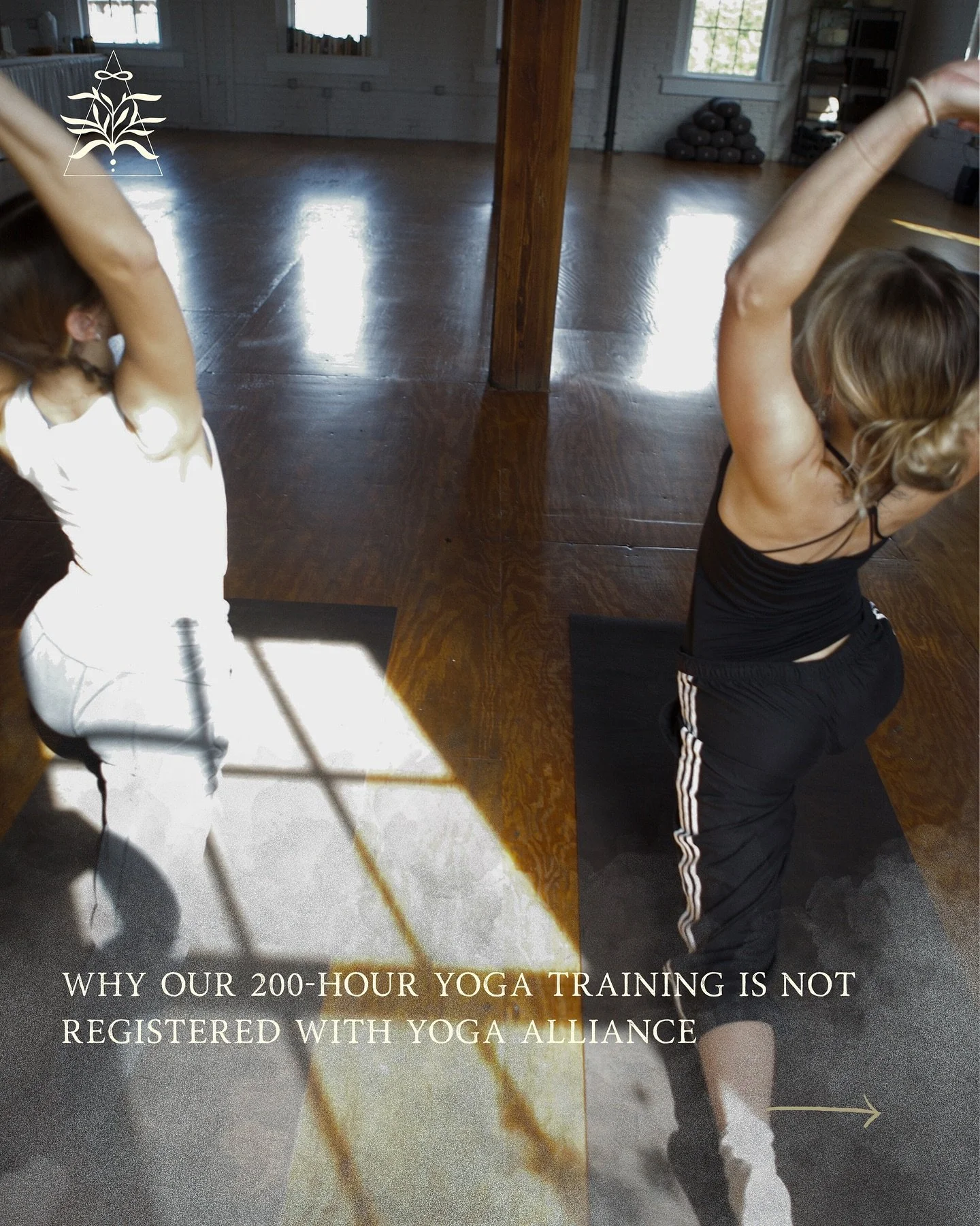 MYND Conservatory owner and lead instructor @blake.moves is bringing over 20 years of teaching experience to this intentional offering 🍃 This training is focused on honoring the ROOTS of yoga.

Our 200-hour yoga teacher training program, starting th