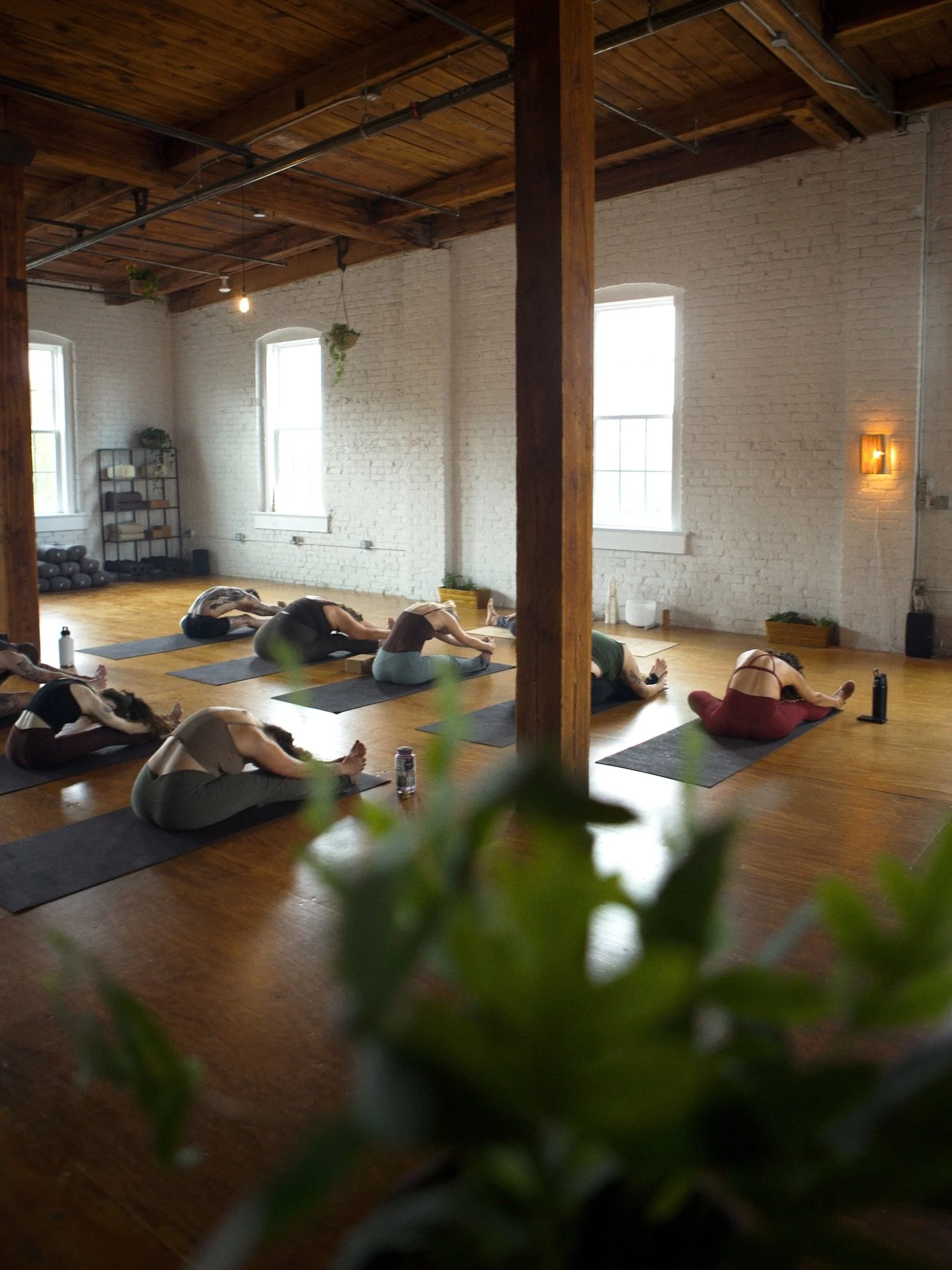 Don&rsquo;t let the winter cold get you down 🫂 Come float in the Conservatory: a physical and spiritual greenhouse located in the heart of Old Town Manchester 🍃🍵

Our spacious loft space features abundant light, lively greenery, and natural wood b