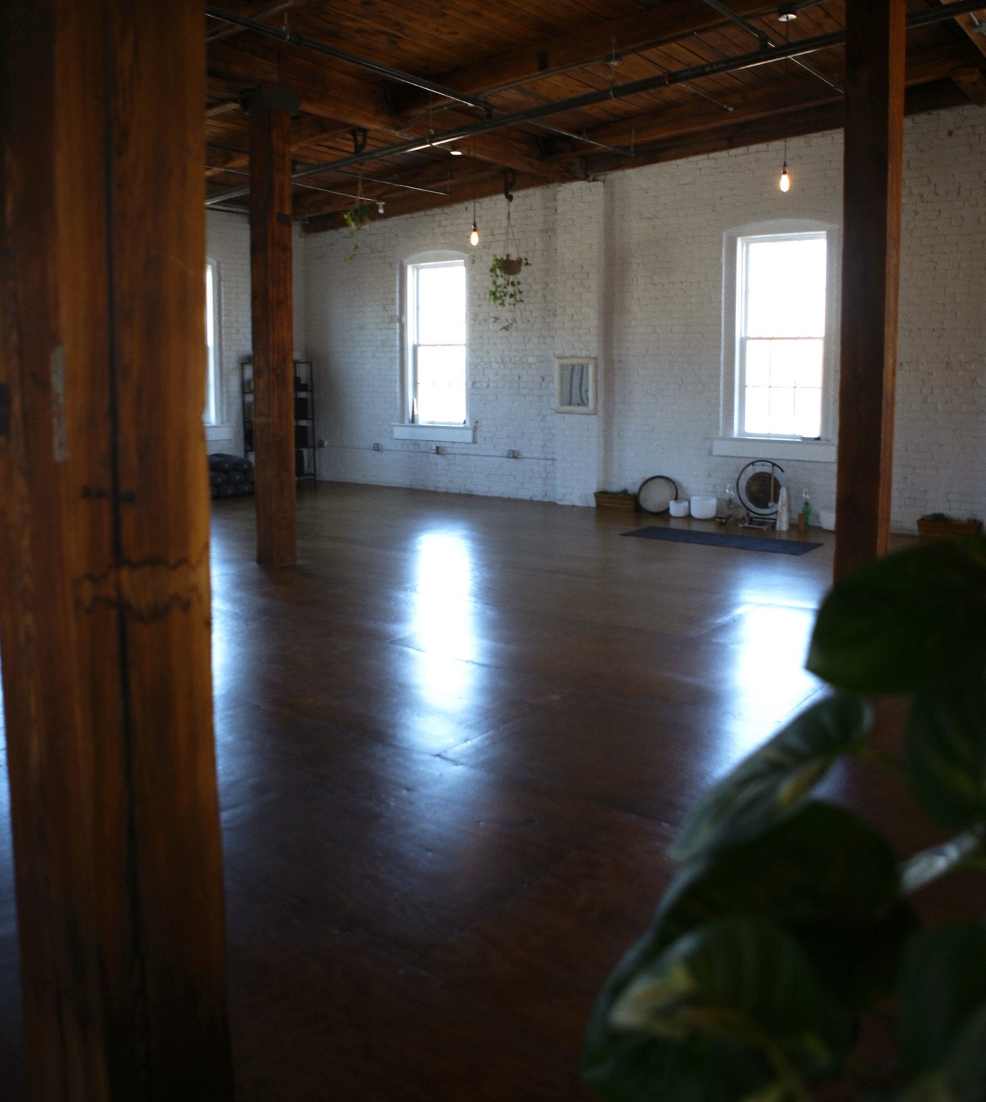 Some of our classes lately have been close to full capacity! We are loving watching the space grow. Tag a friend you&rsquo;d like to bring to practice with you here 🌱

Our unlimited members receive 2 free guest passes each month! 🌀 Maybe it&rsquo;s
