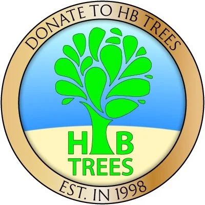Protecting and enhancing our community's urban forest.