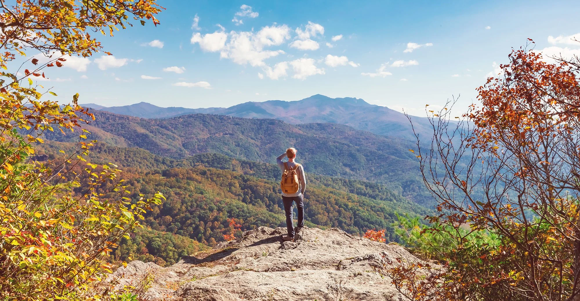 A hiker looking out at a view on a hike in Asheville NC 