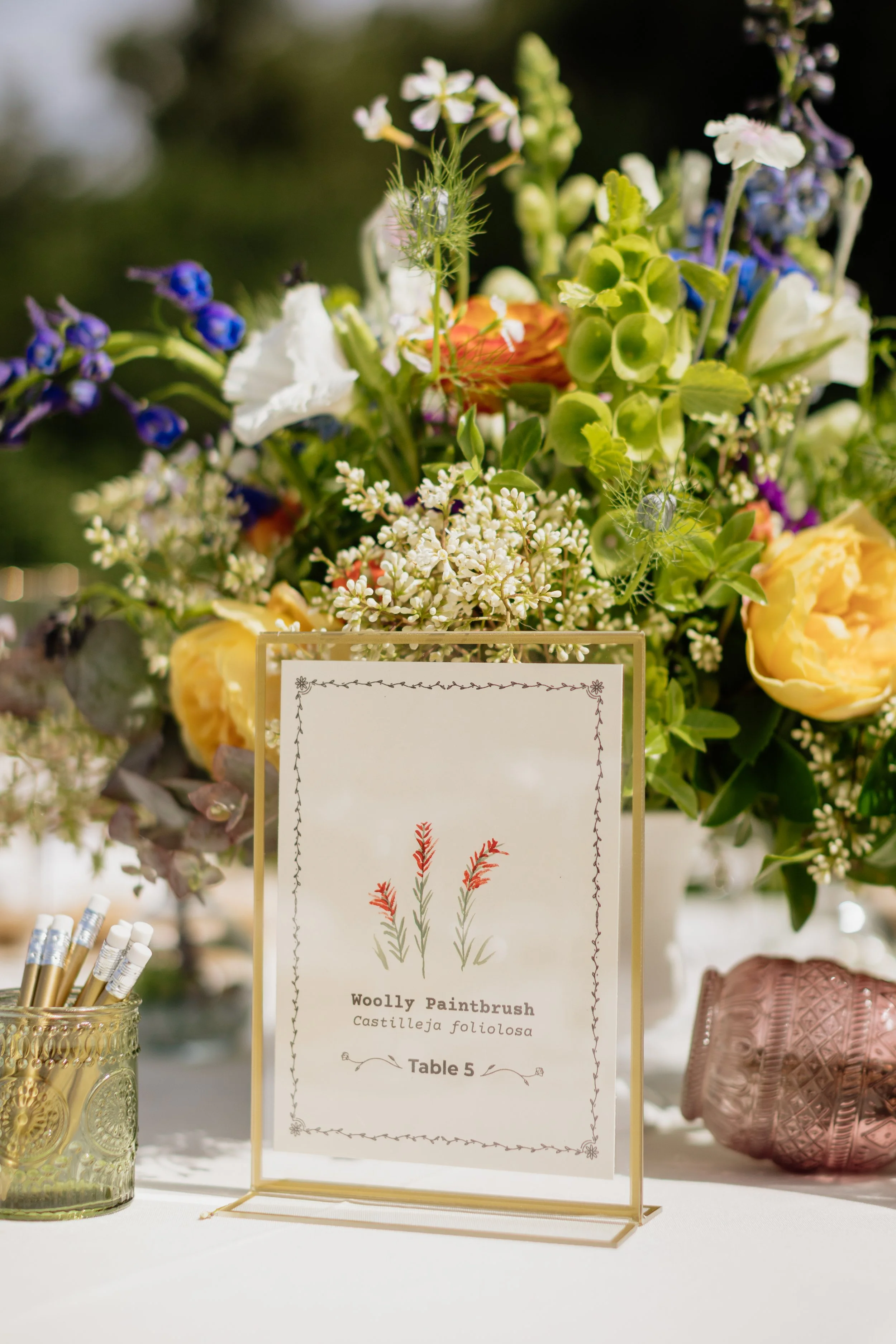 Cassidy-Alex_The-Highlands-Estate-Wedding_20260502_dianebphoto_0171.jpg