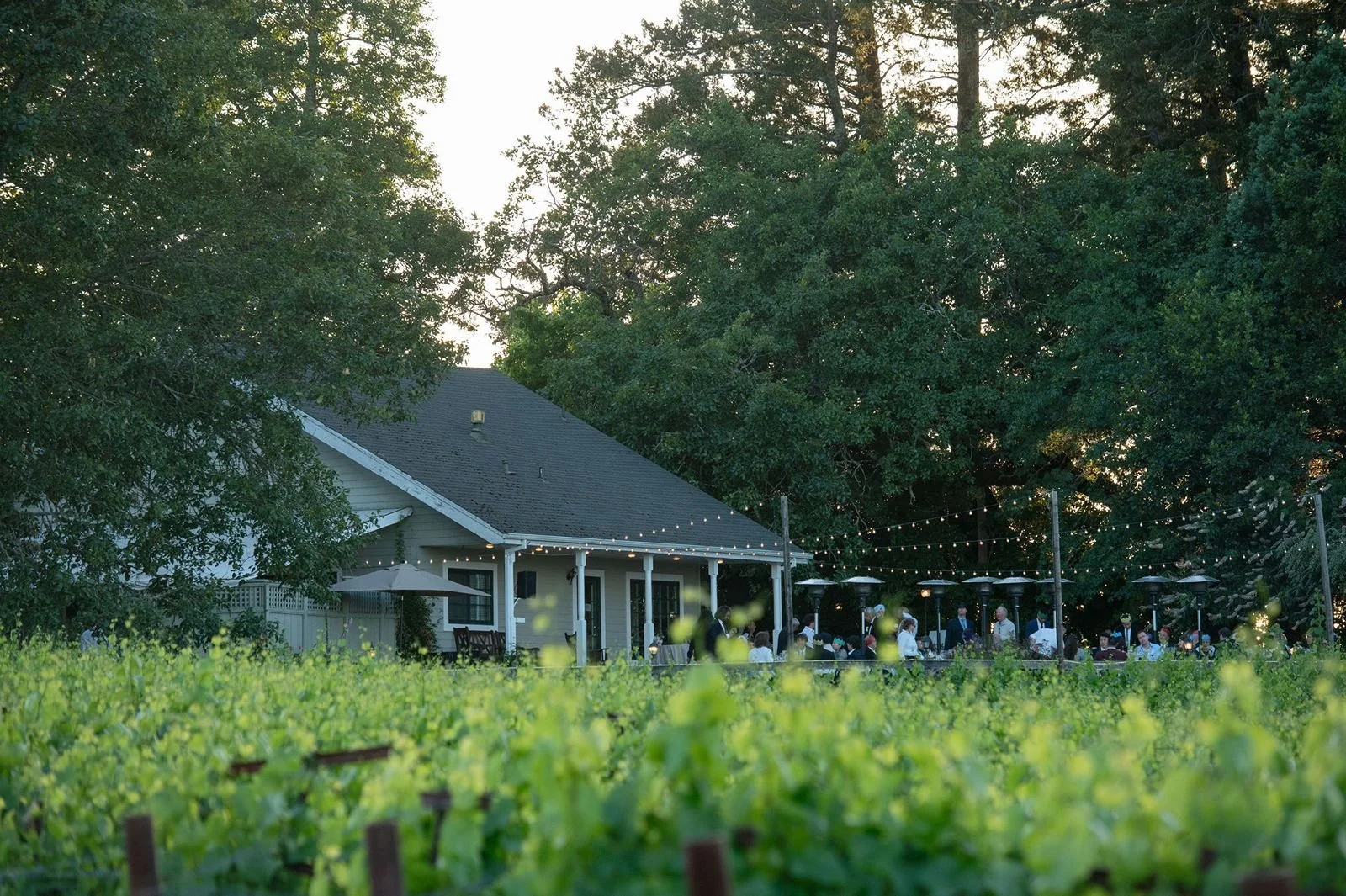 Vine Hill House view from the vineyard