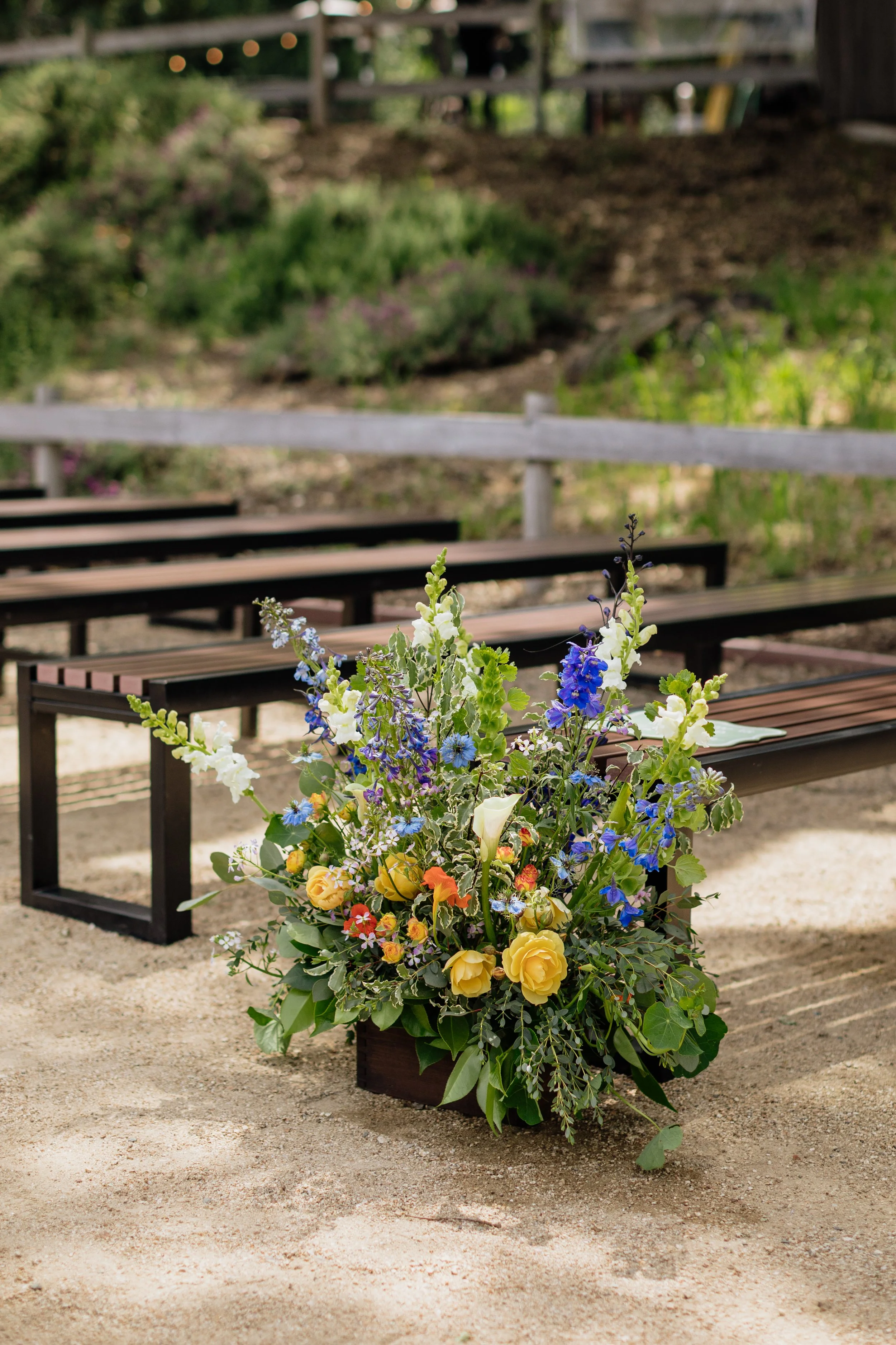 Cassidy-Alex_The-Highlands-Estate-Wedding_20260502_dianebphoto_0083.jpg