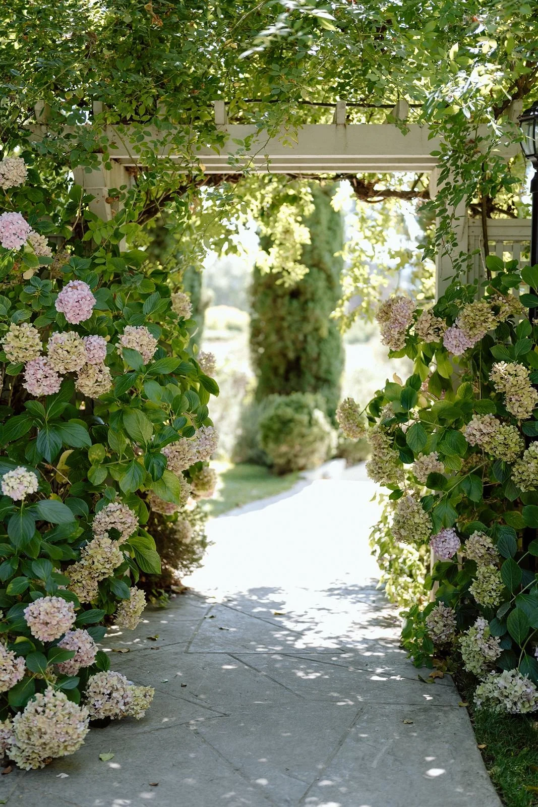 Vine Hill House shaded hydrangea walkway