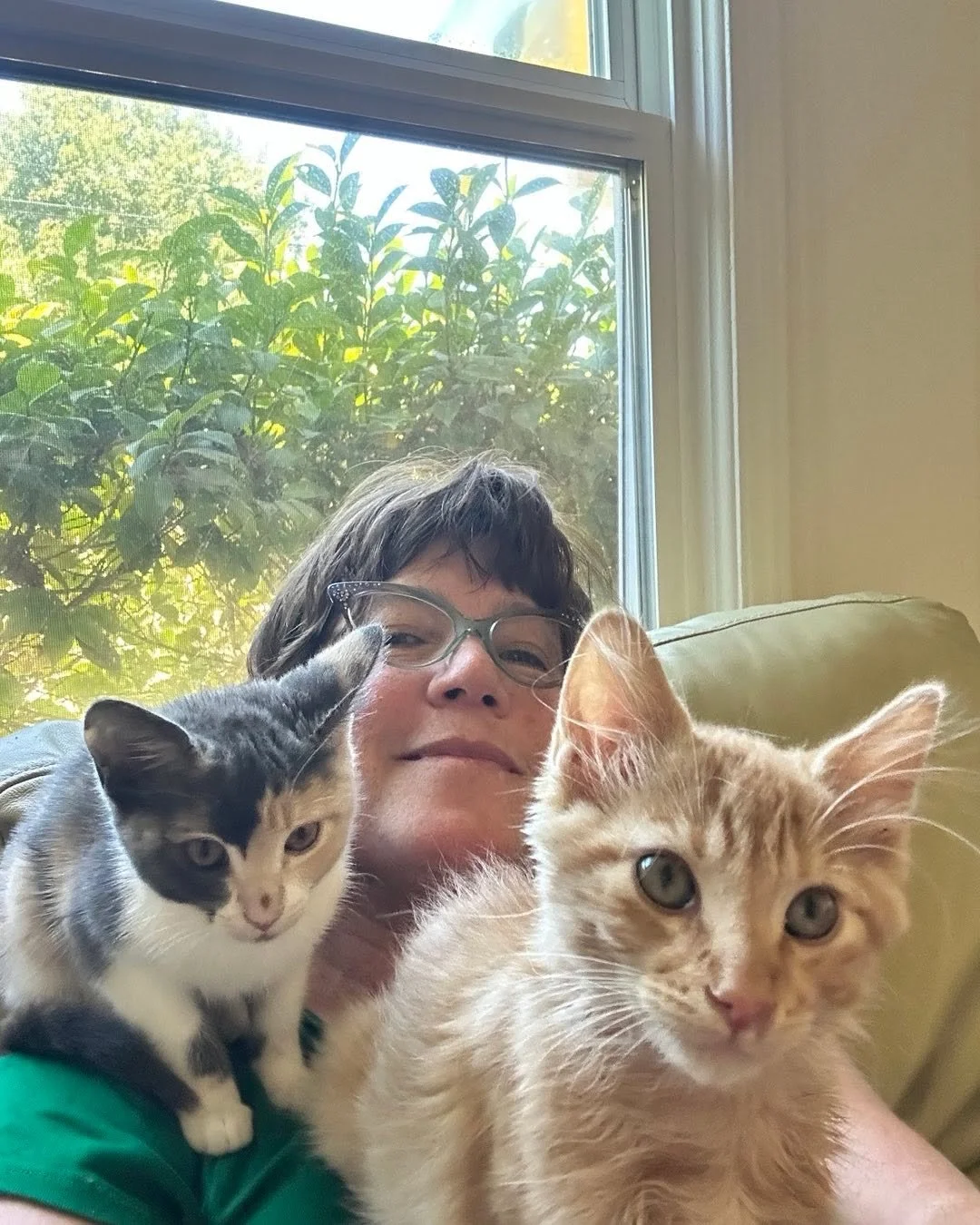 We are fostering again!! Anyone looking for babies?