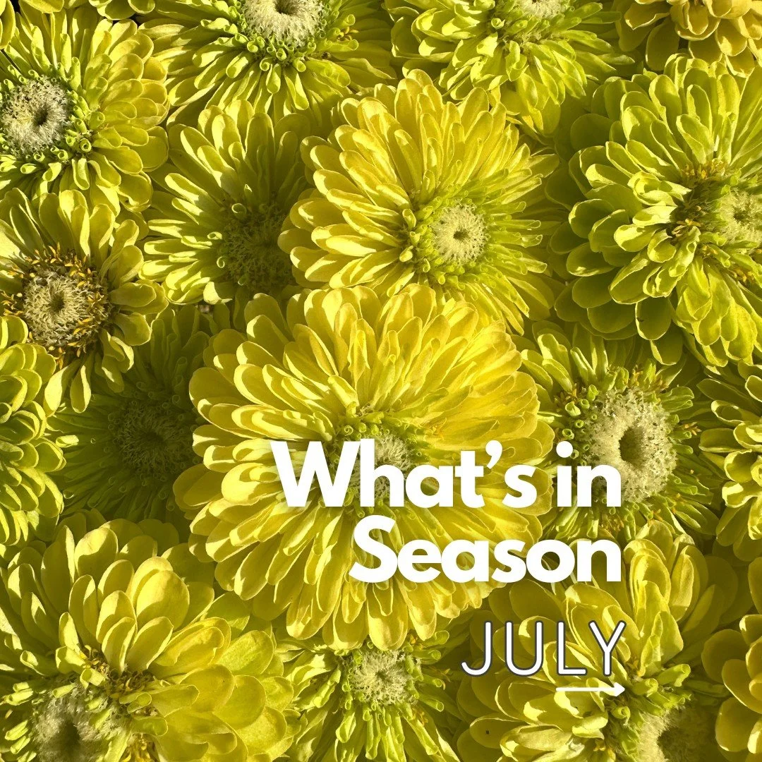 July Blooms Fresh From the Field

July is bursting with blooms you won&rsquo;t find at a typical florist&mdash;because they don&rsquo;t ship well. These fresh-cut flowers are delicate, local, and long-lasting.

On the farm now: zinnias, ageratum, Pee