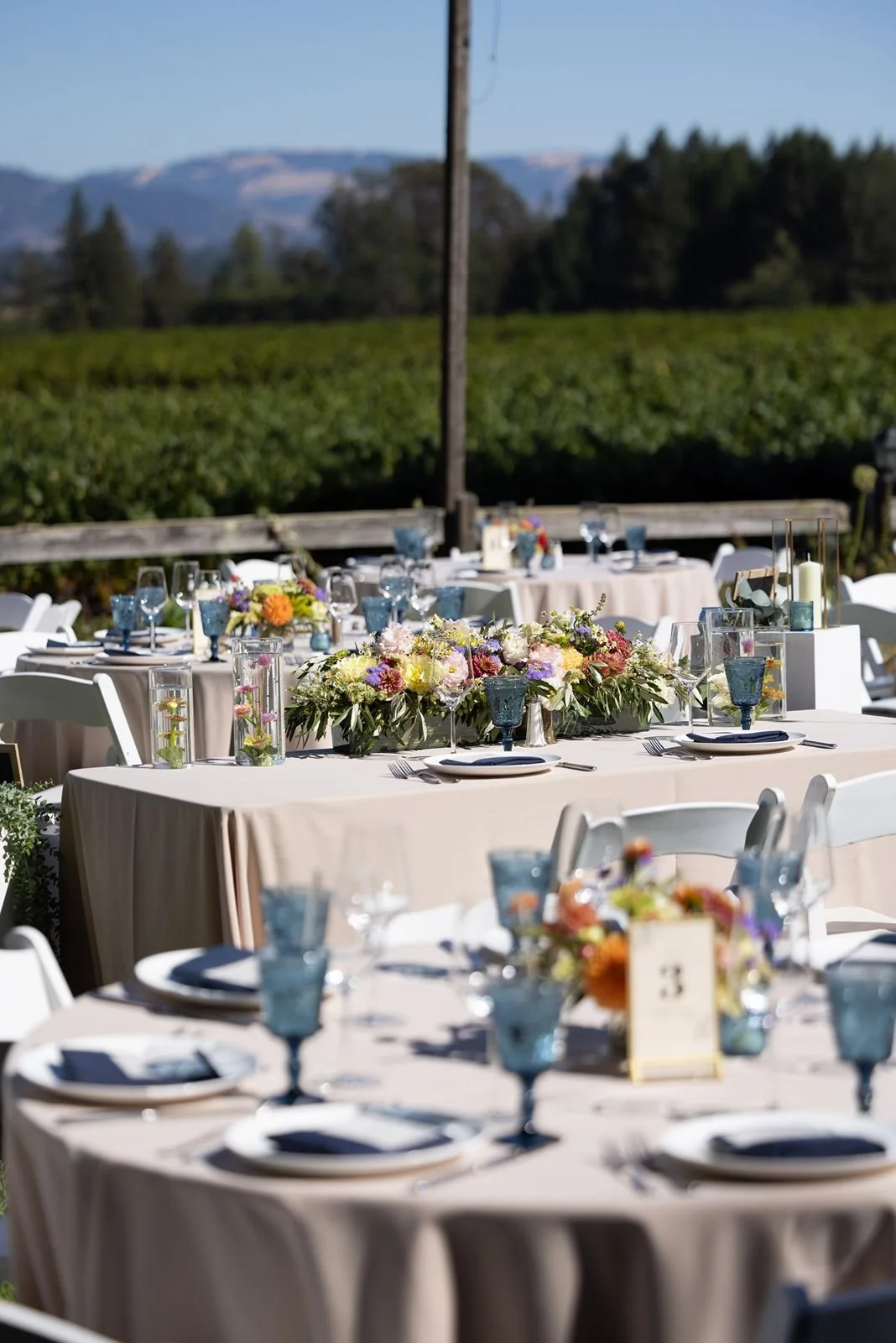 Vine Hill House table overlooking vineyard