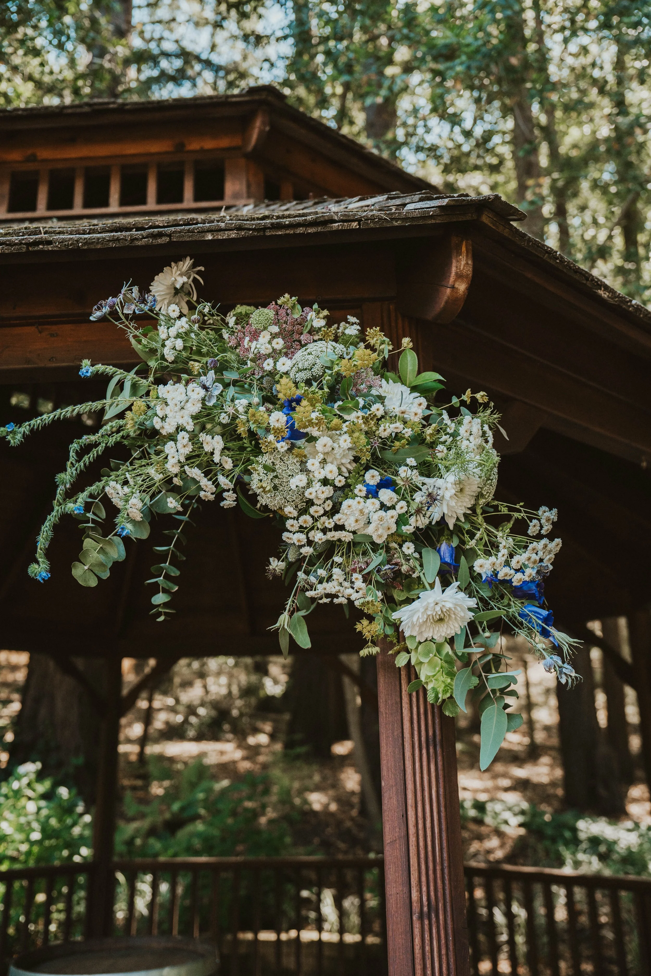 Raeanne-Will-Healdsberg-California-Wedding-Gallery-13.jpg