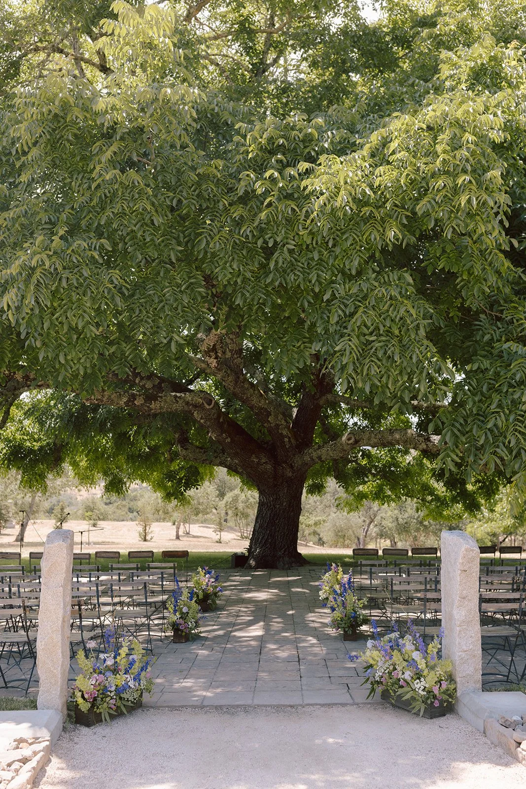 Sonoma County Wedding Venues I Love and How I Design for Them
