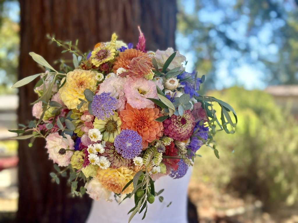 A colorful bouquet of assorted flowers with dahlias, eucalyptus leaves, and other blooms, held outdoors with a blurred natural background.