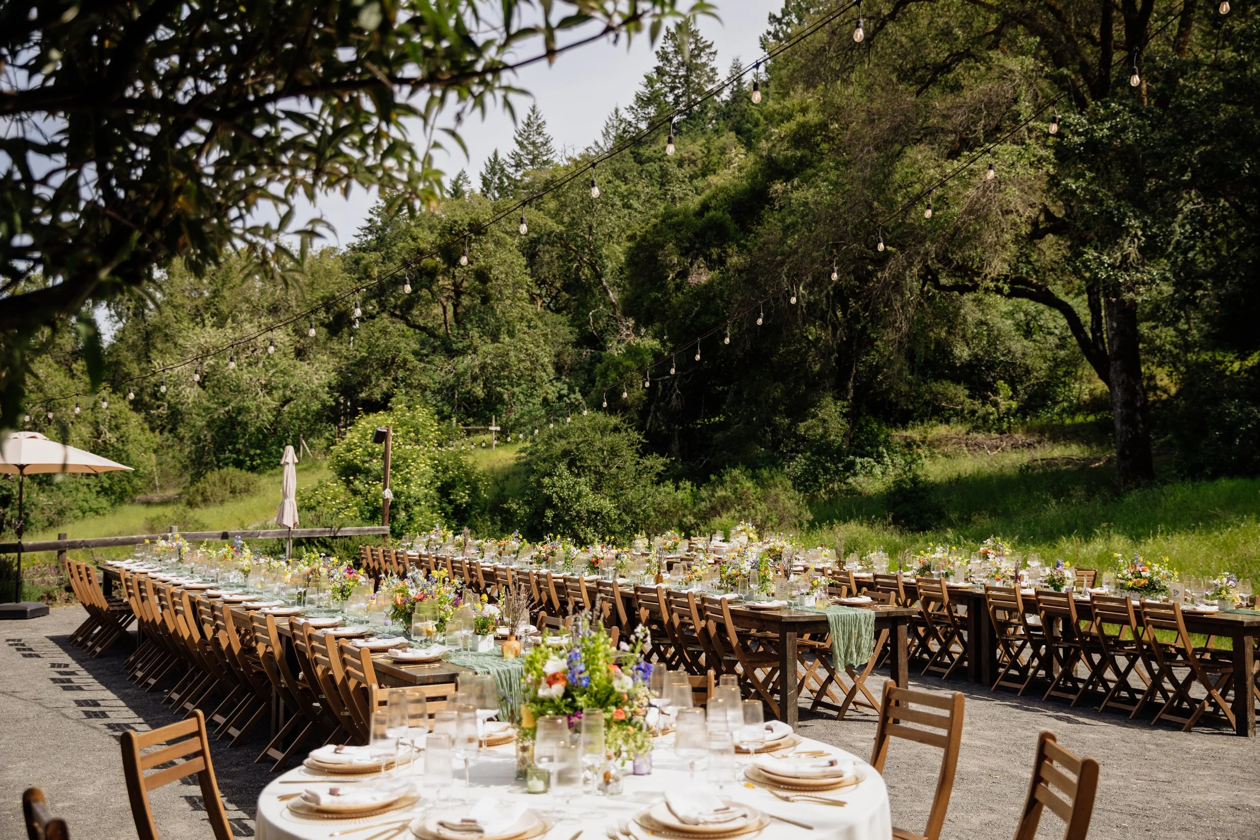 Cassidy-Alex_The-Highlands-Estate-Wedding_20260502_dianebphoto_0173.jpg
