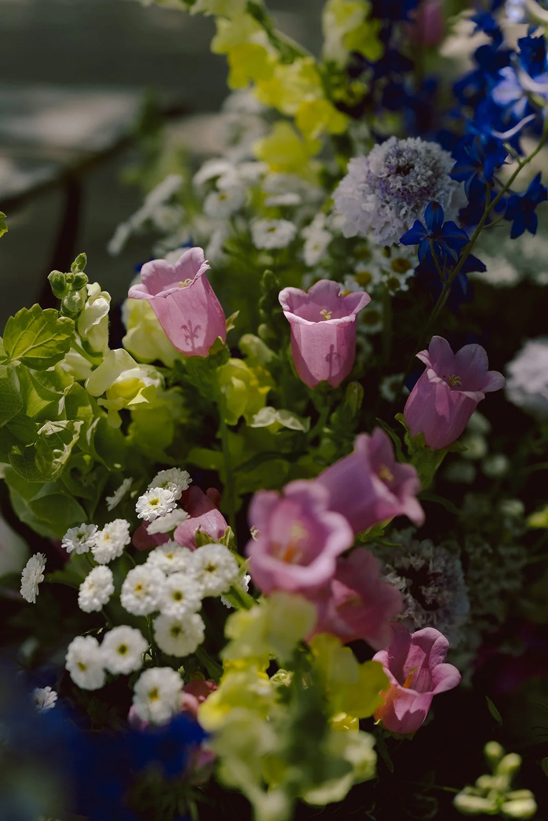 A colorful assortment of spring flowers, including pink, white, yellow, and blue blooms, in a garden setting.