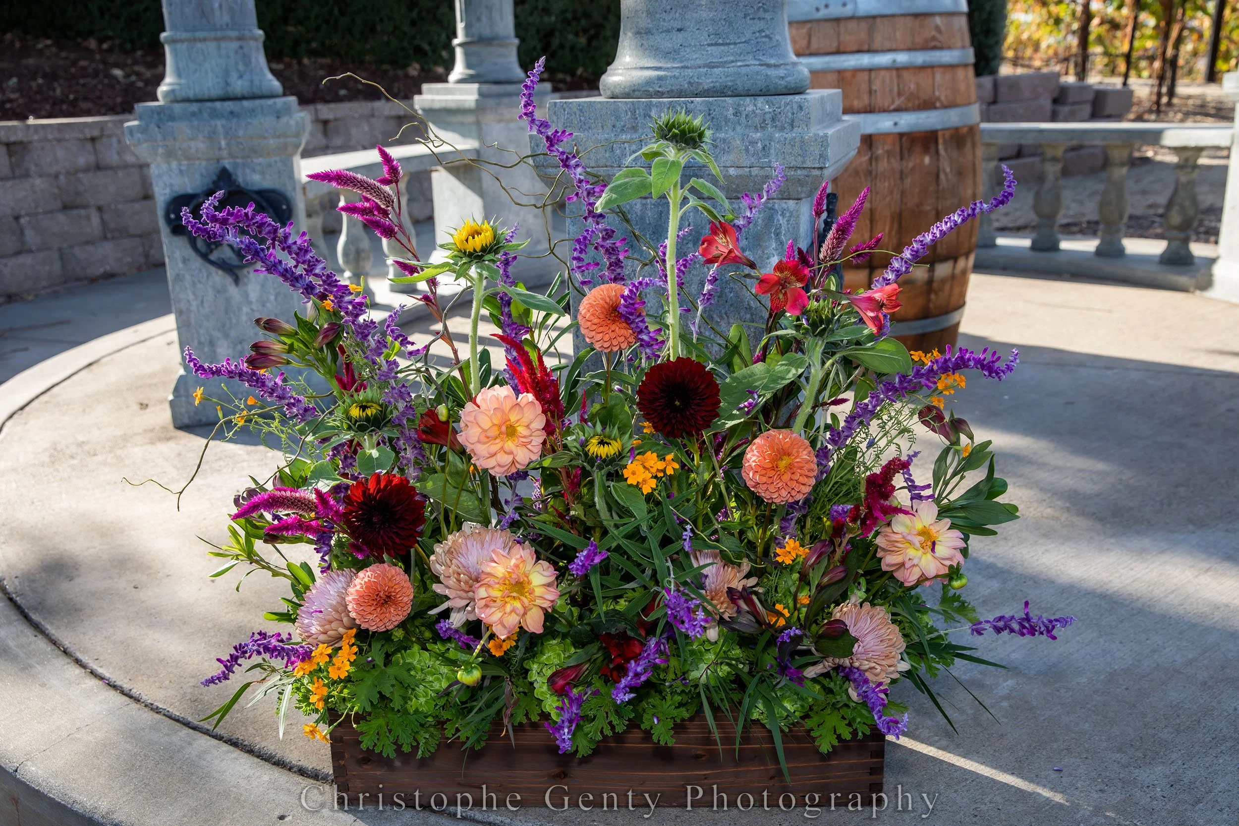 A colorful floral arrangement in a rectangular wooden flower box with pink, red, and orange dahlias, purple salvia, yellow marigolds, and other greenery, placed outdoors on a circular stone surface near a stone water fountain.